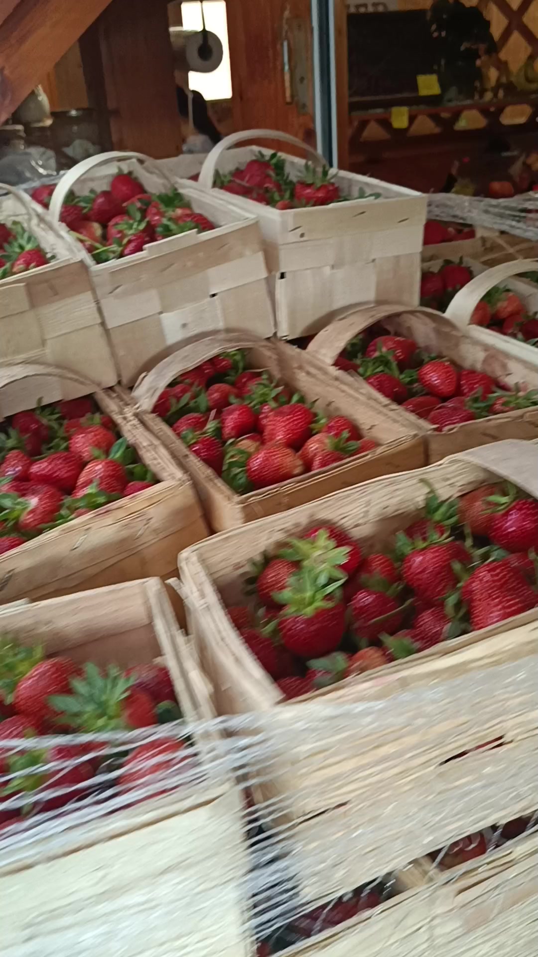 Ovoce Zelenina Školská foto 2 (náhled videa)