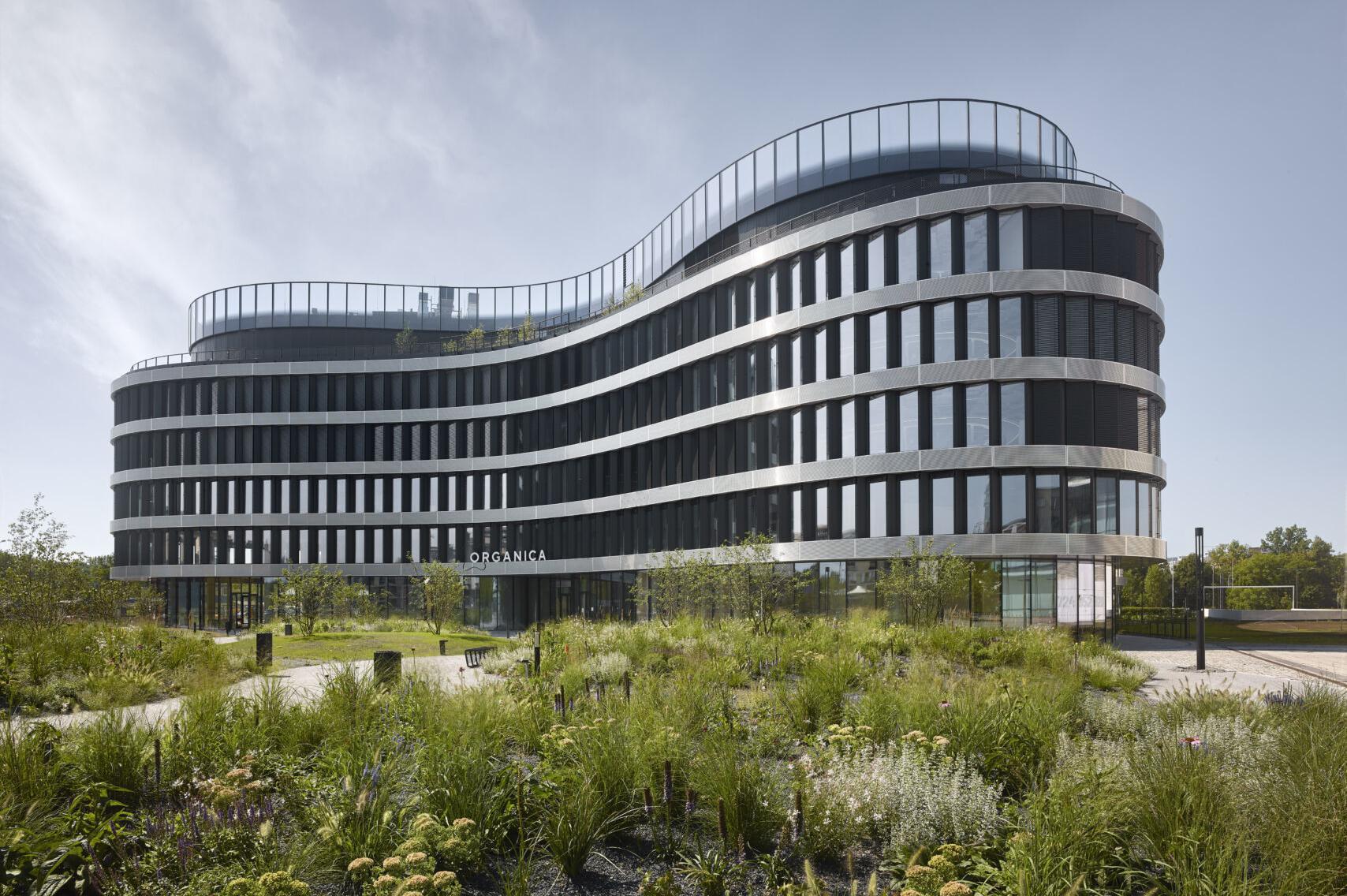 Scott.Weber Workspace – Organica