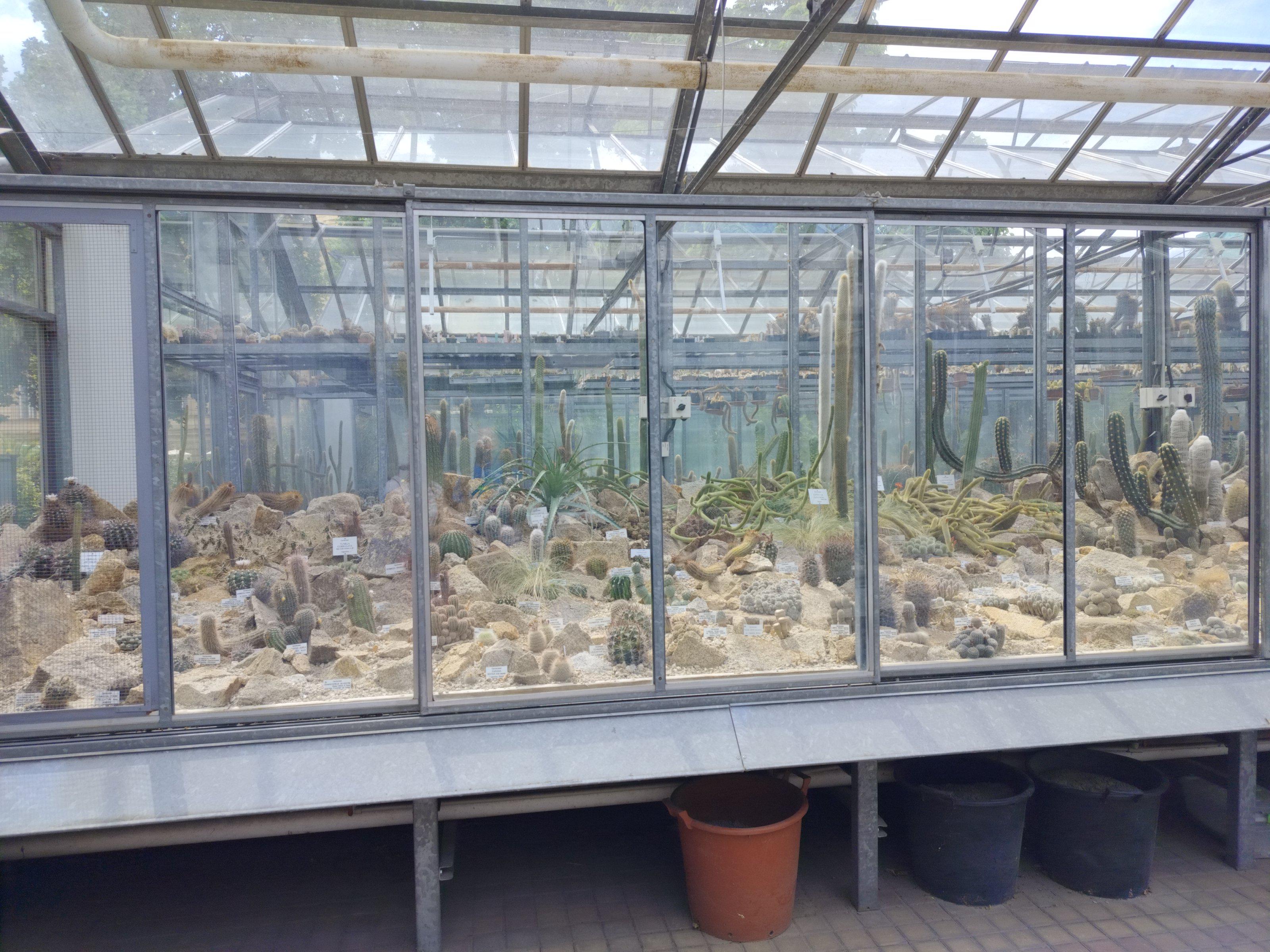 Botanická zahrada Přírodovědecké fakulty Univerzity Karlovy