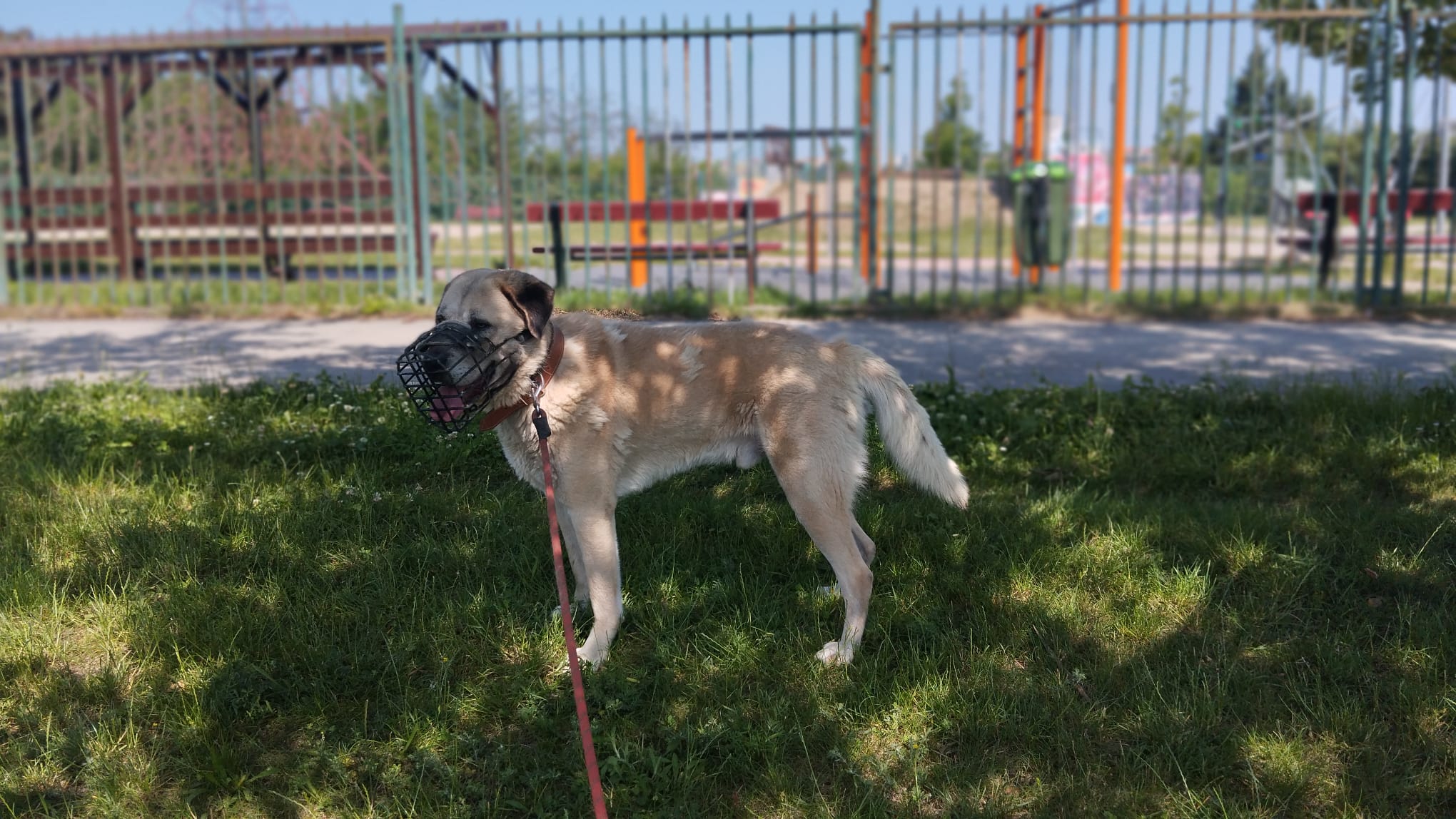 Azyl Heidrún z.s. foto 4