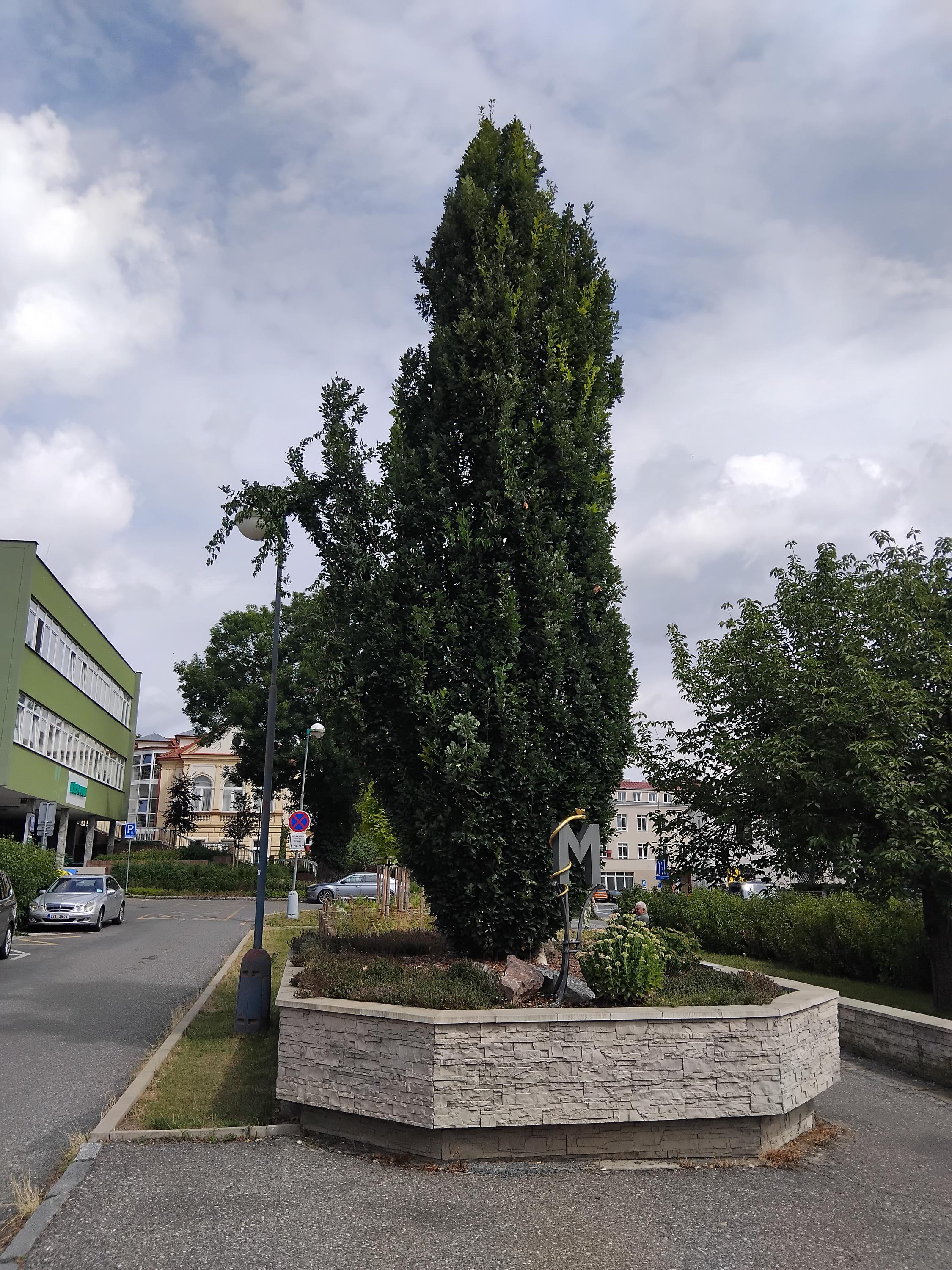 Medicentrum Beroun, a.s. foto 5