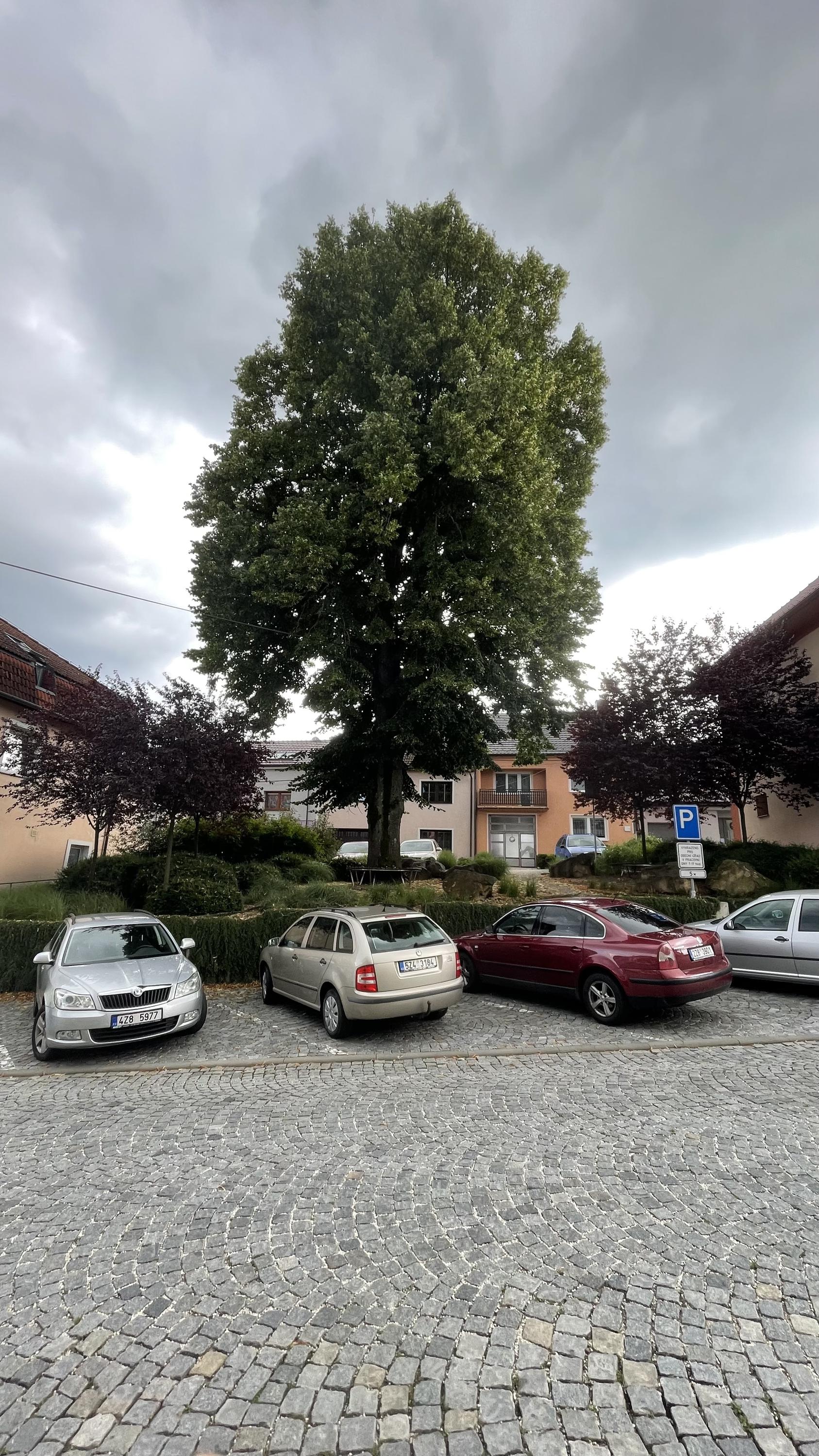 Strání - obecní úřad foto 4