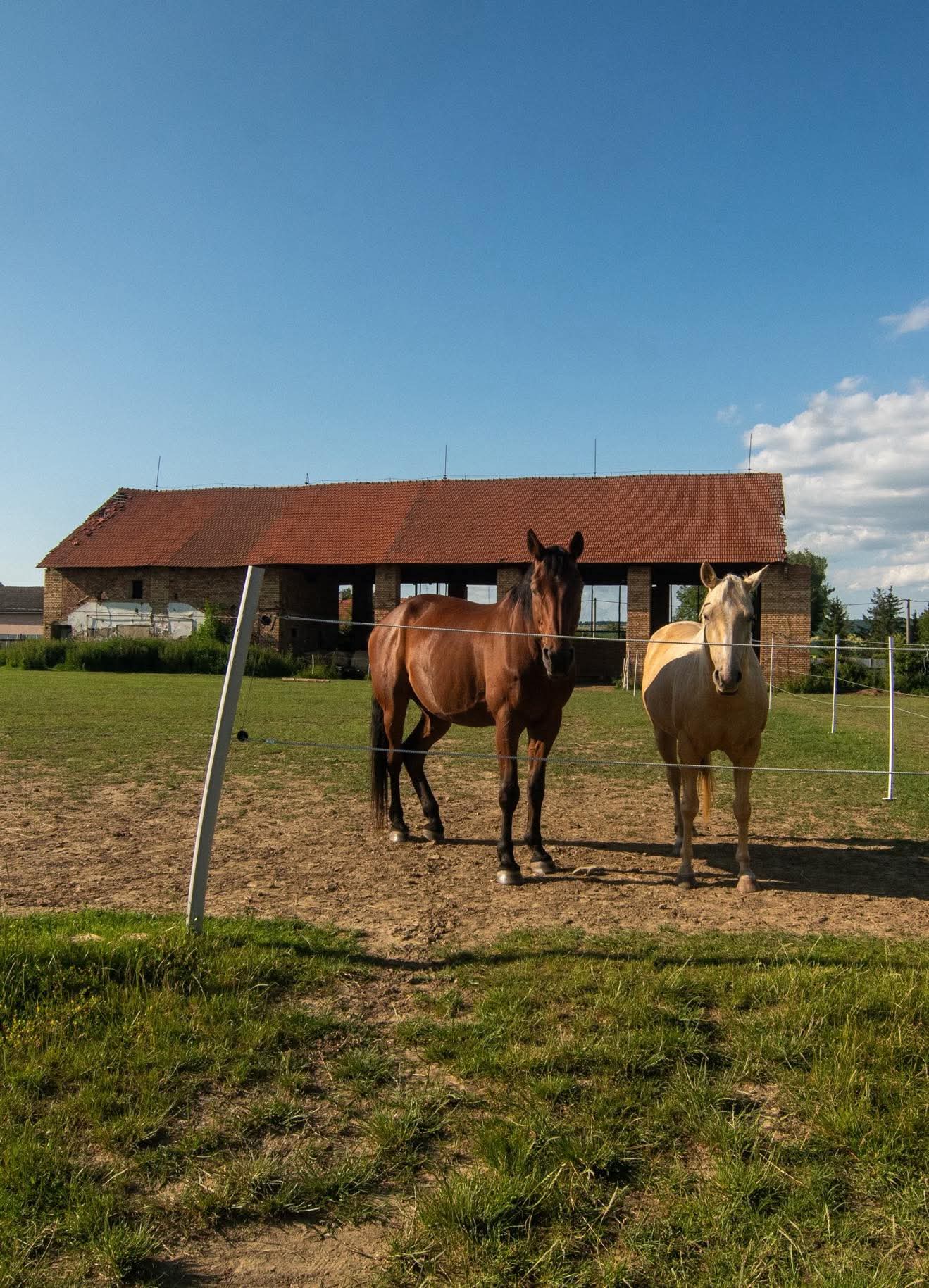 Ranč u rybníčku foto 2