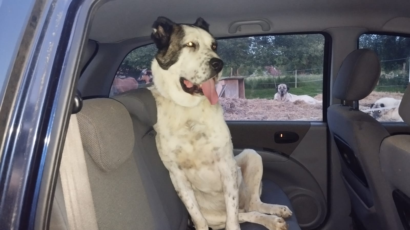 Azyl Heidrún z.s. foto 3