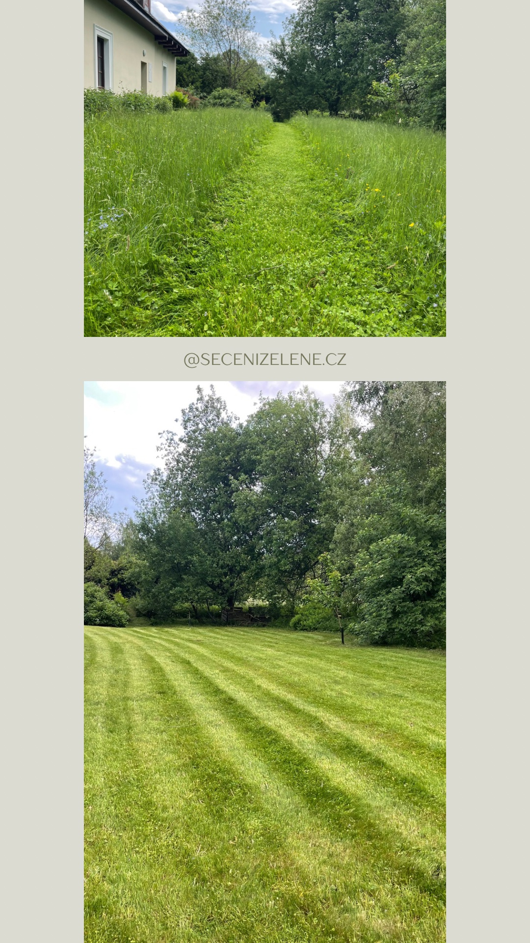 Ladislav Žejdlík - SEČENÍZELENĚ.cz foto 4