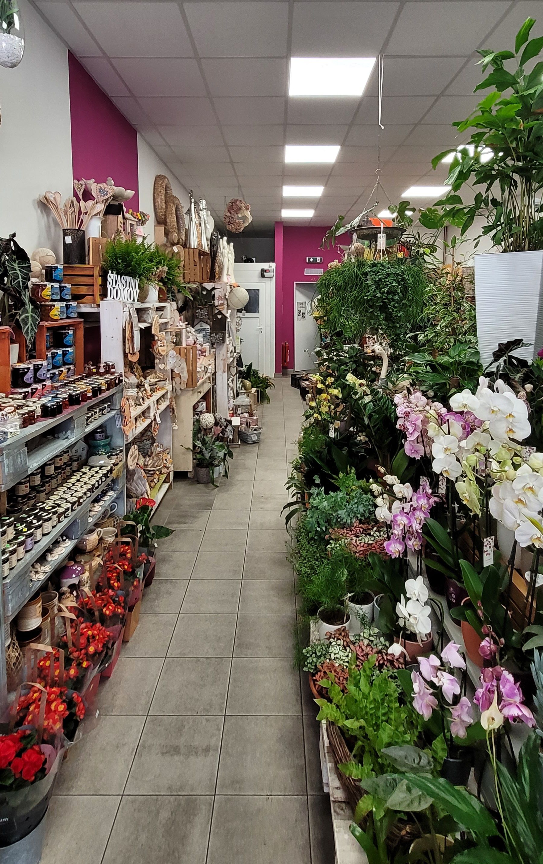 Hana Hanzlová – Flora Dekor foto 4