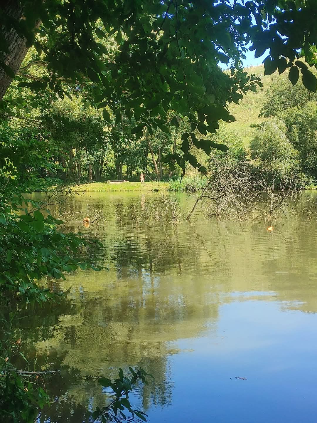 Wildberry Gundogs - Veronika Majerová foto 3