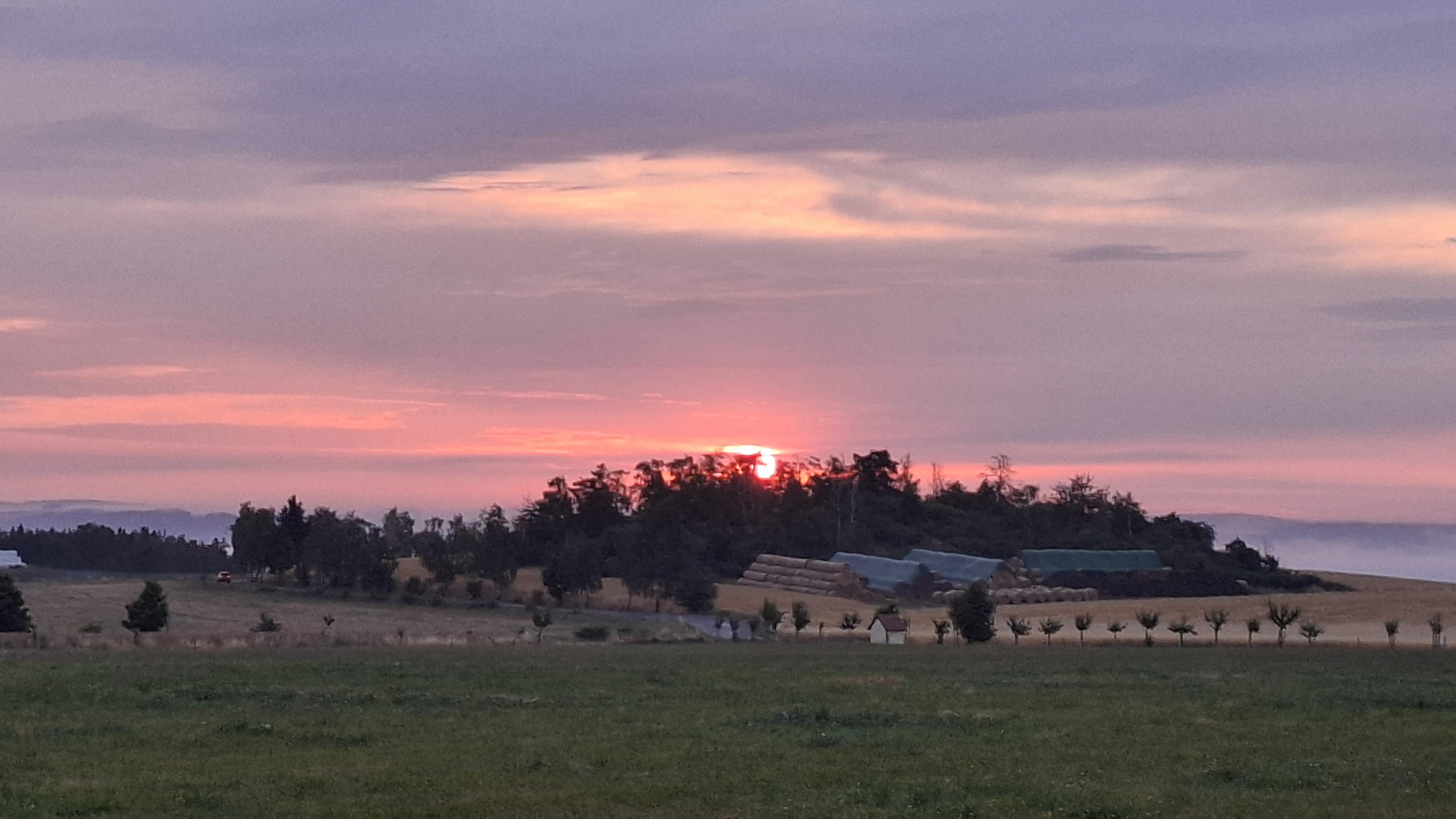 Jezdecký klub ARIS, z.s. foto 3