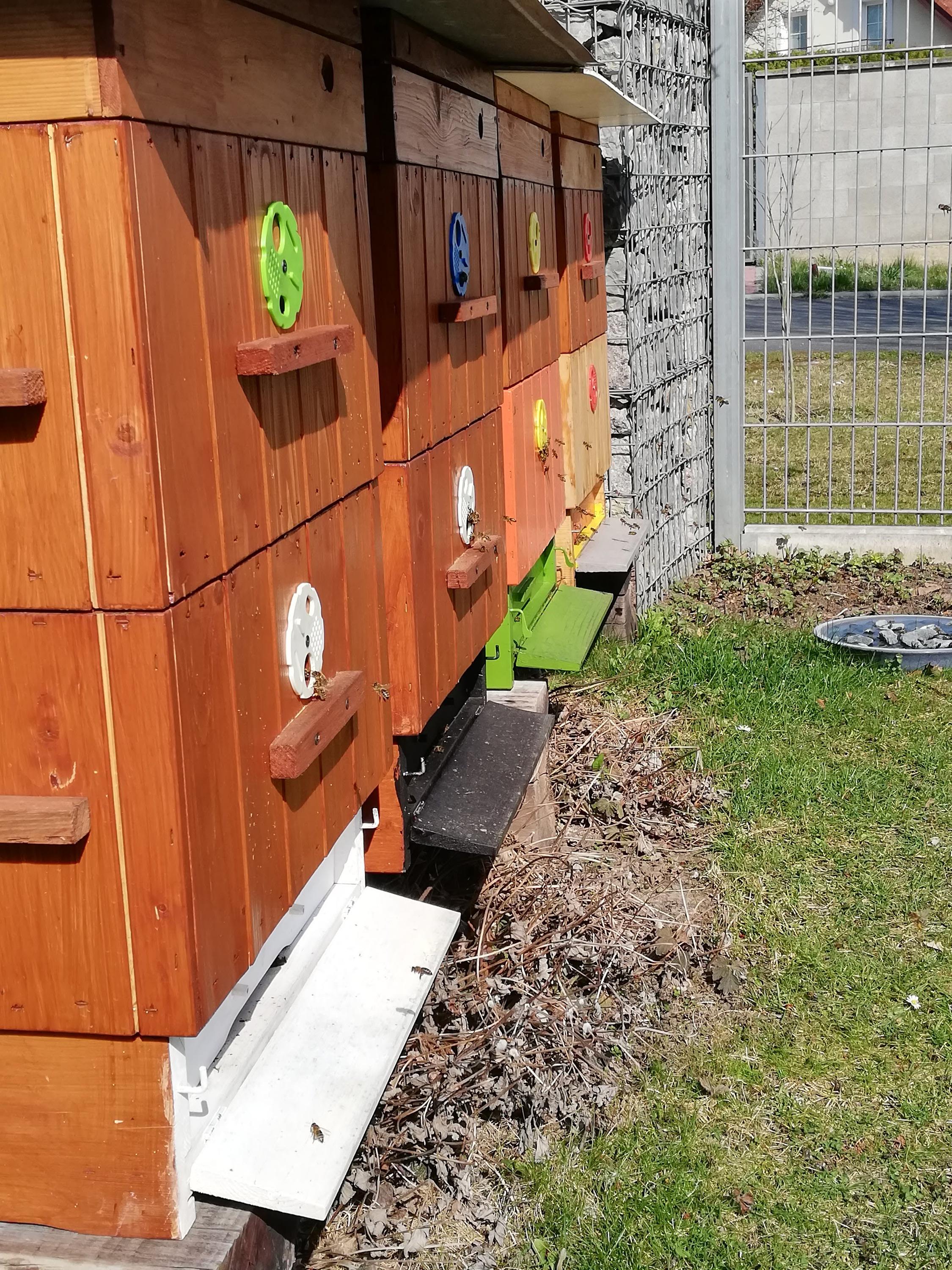 Jan Šimek - prodej medu foto 2