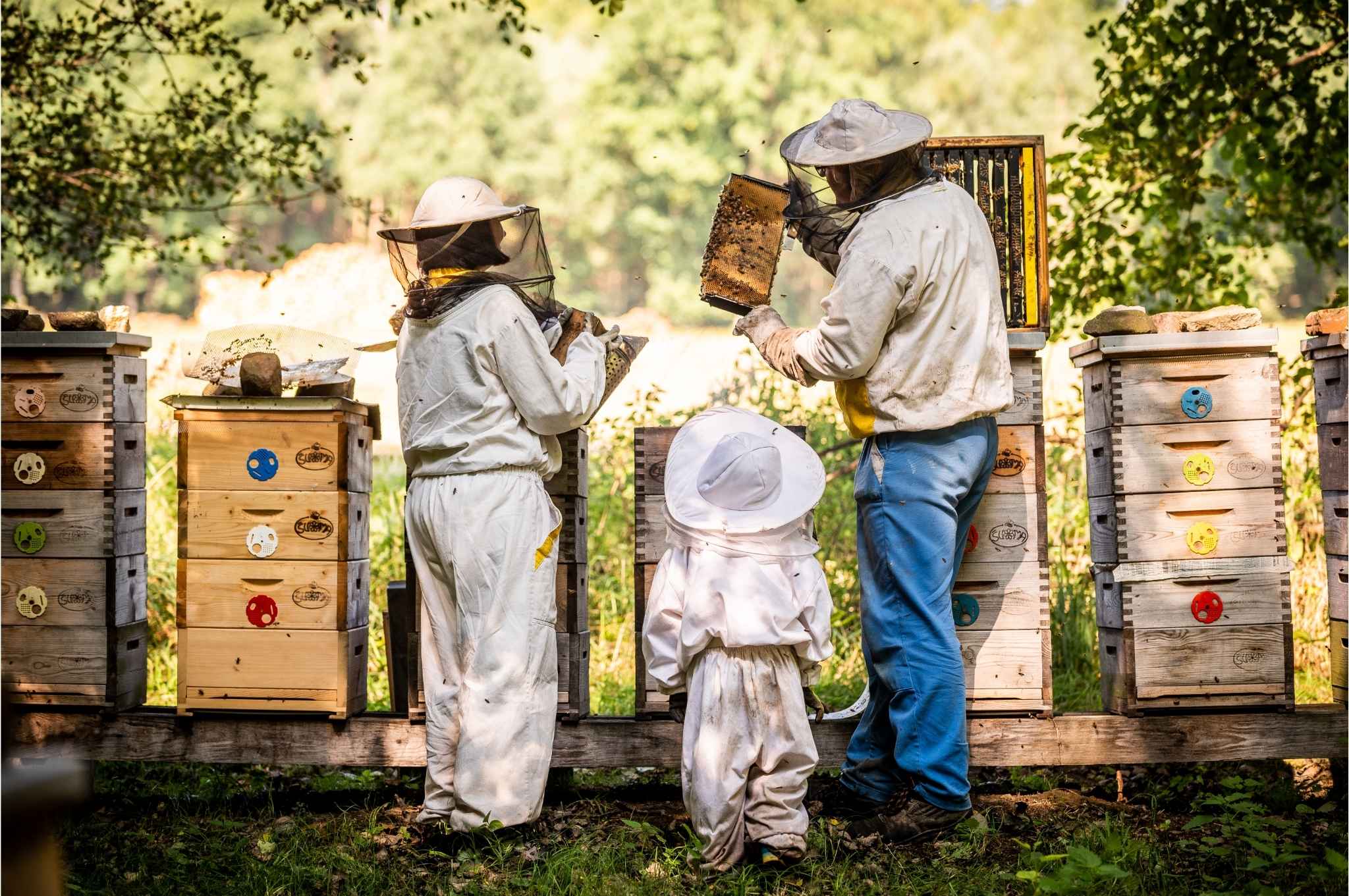 Včelařství Švoma foto 4