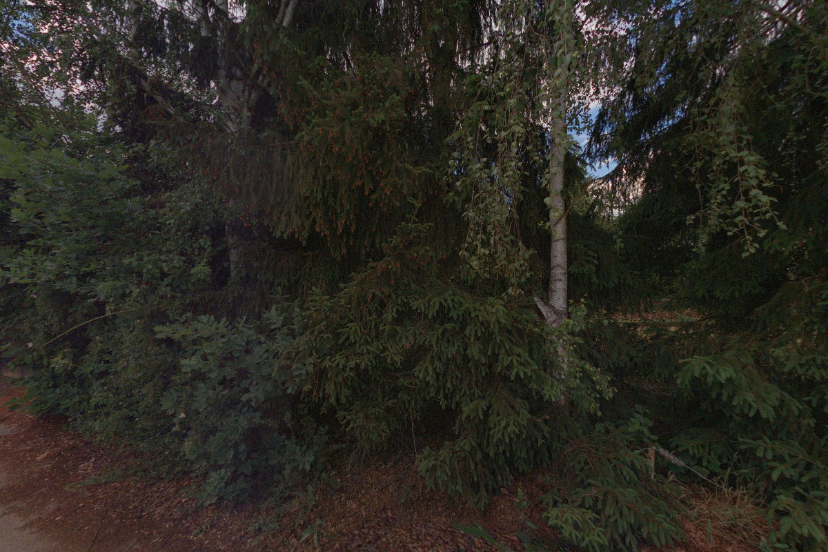 Restaurace Caravan club