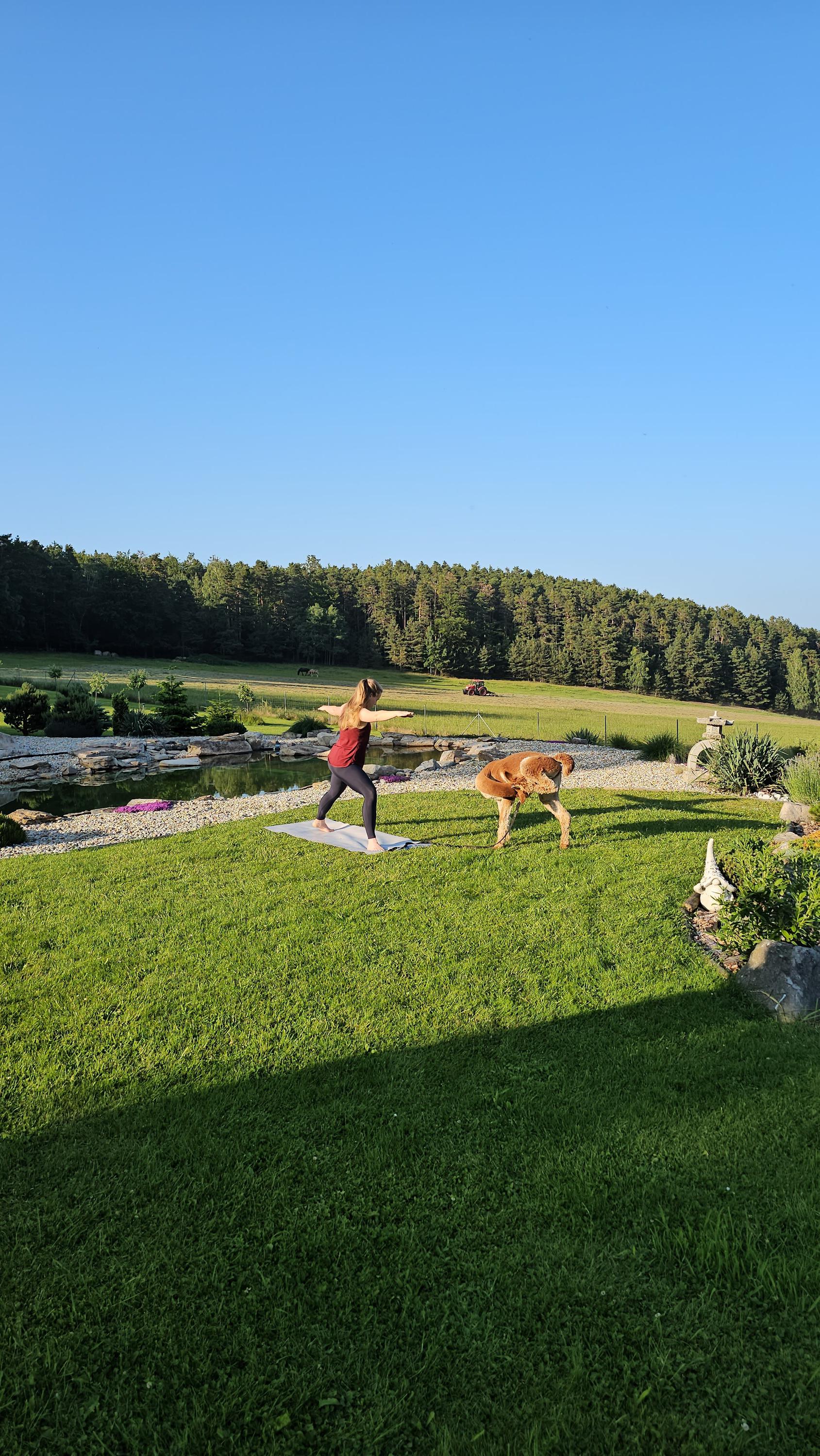 Alpaka farma Na Vyhlídce foto 6