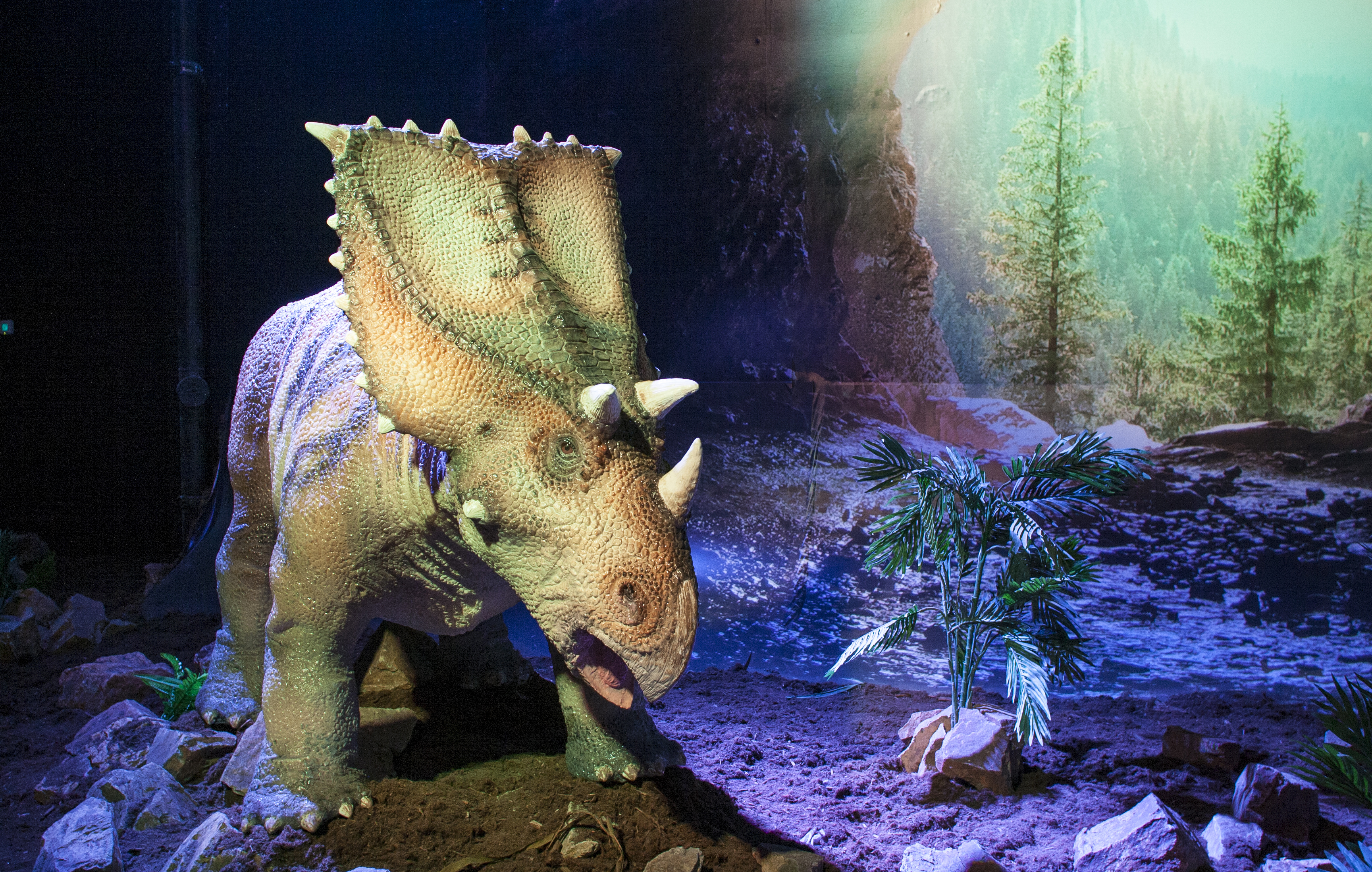 DinoPark Plaza Liberec foto 4