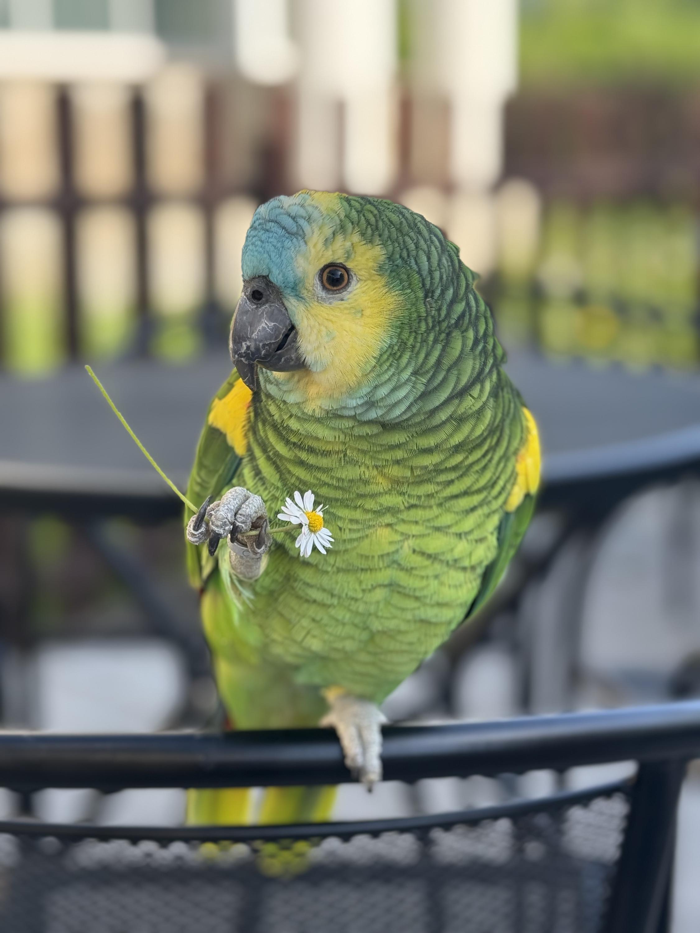 Kavárna Peřeje foto 3