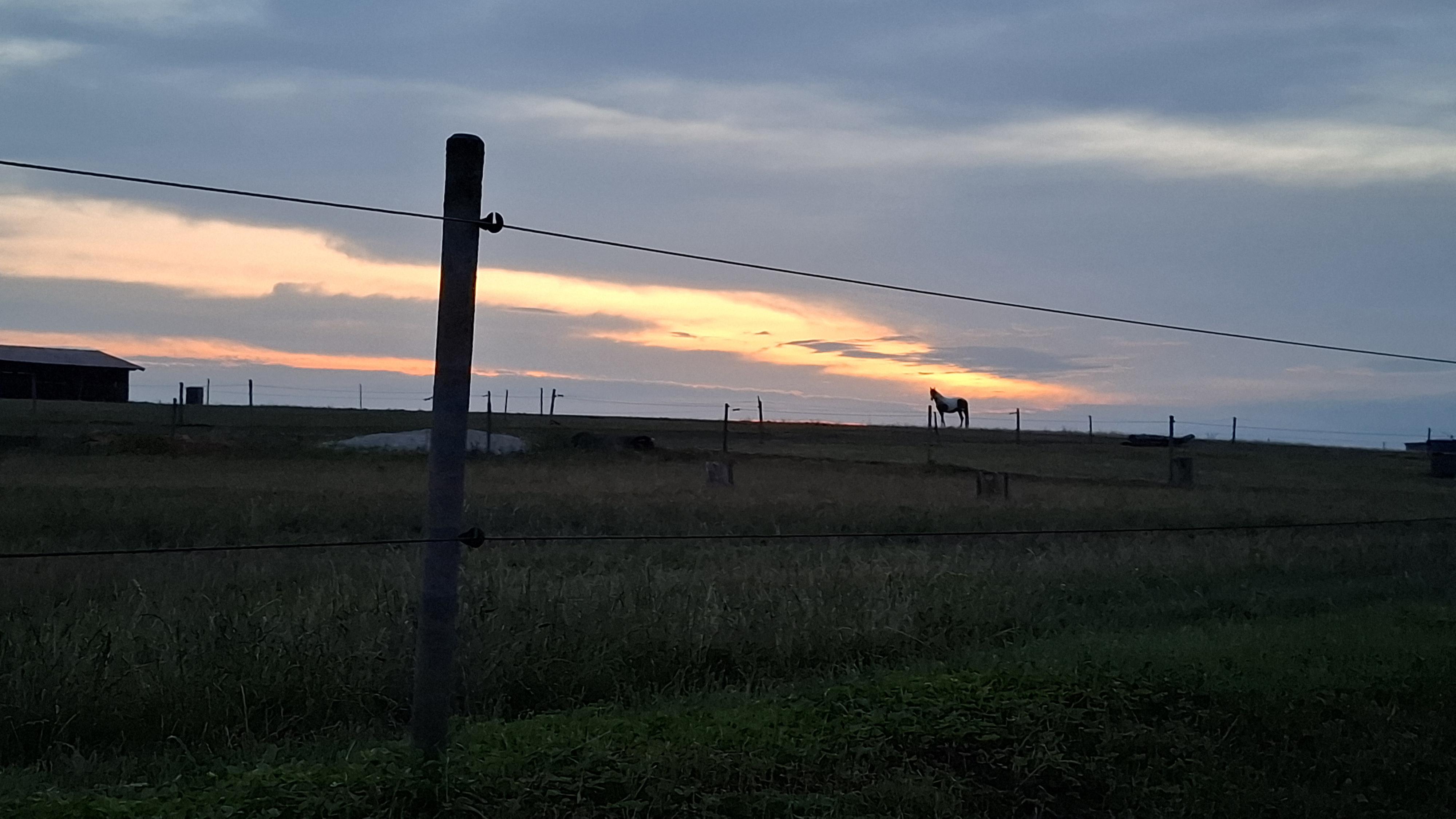 Jezdecký klub ARIS, z.s.