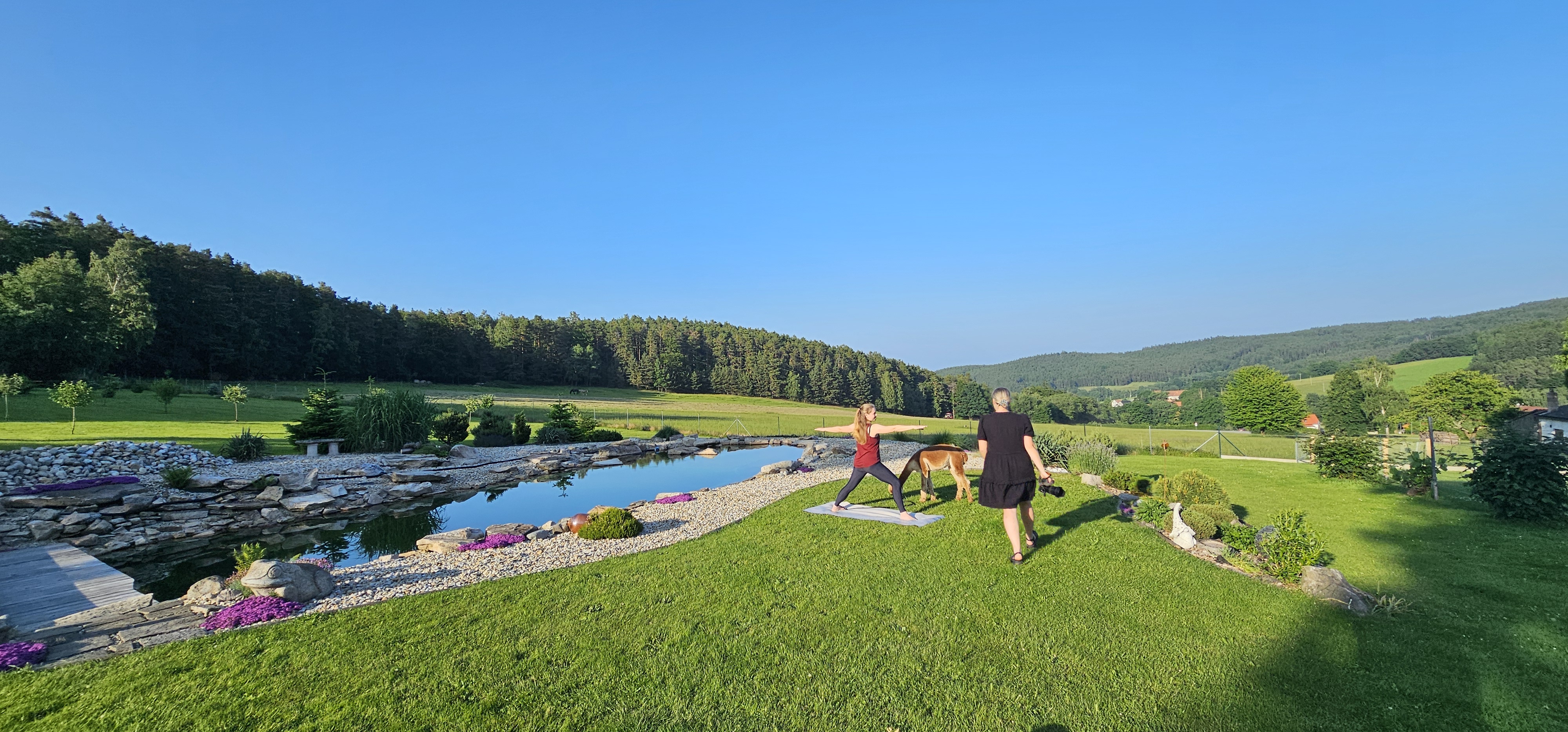 Alpaka farma Na Vyhlídce foto 1