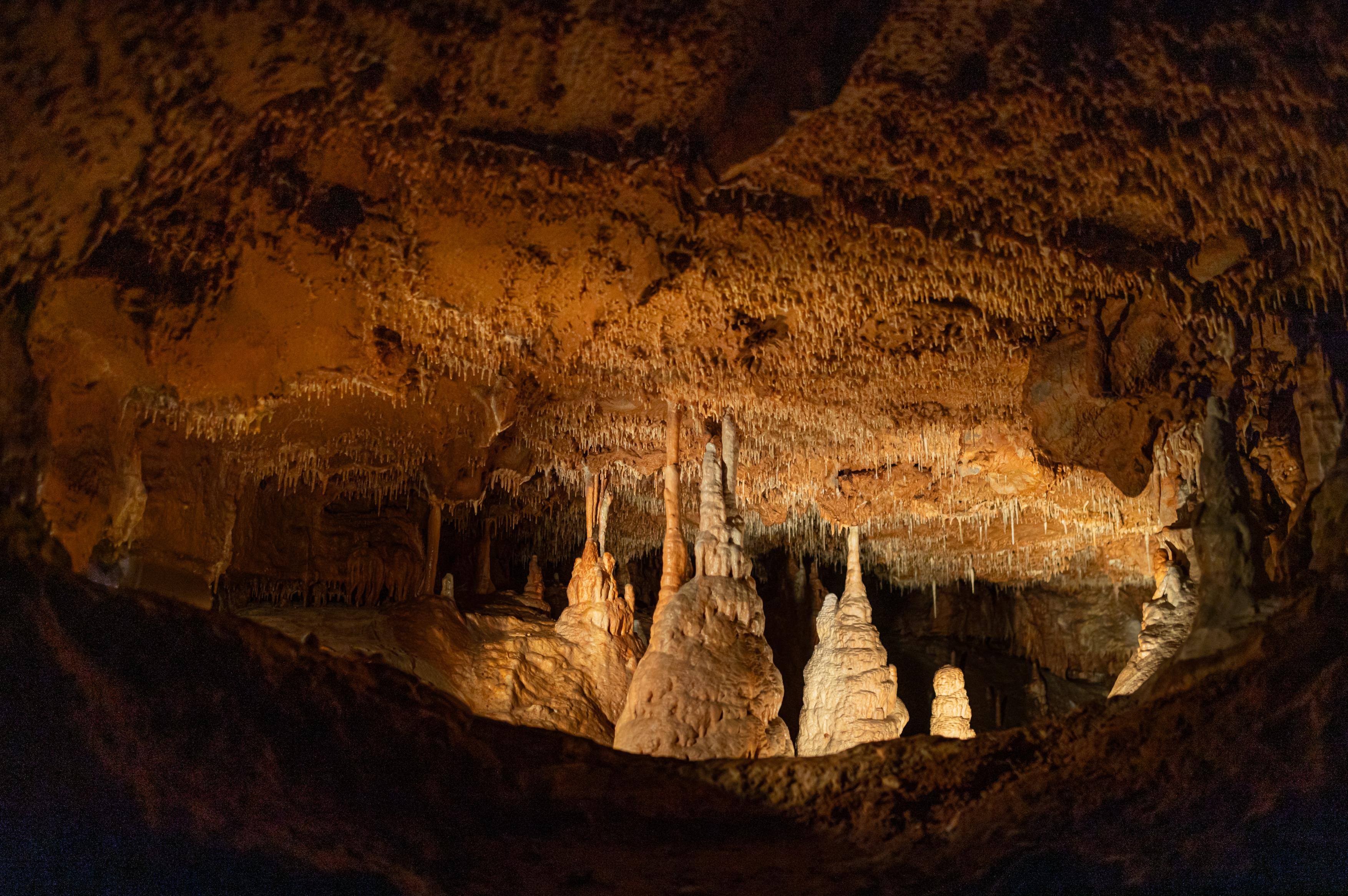 DMO Moravský kras a okolí, z. s.