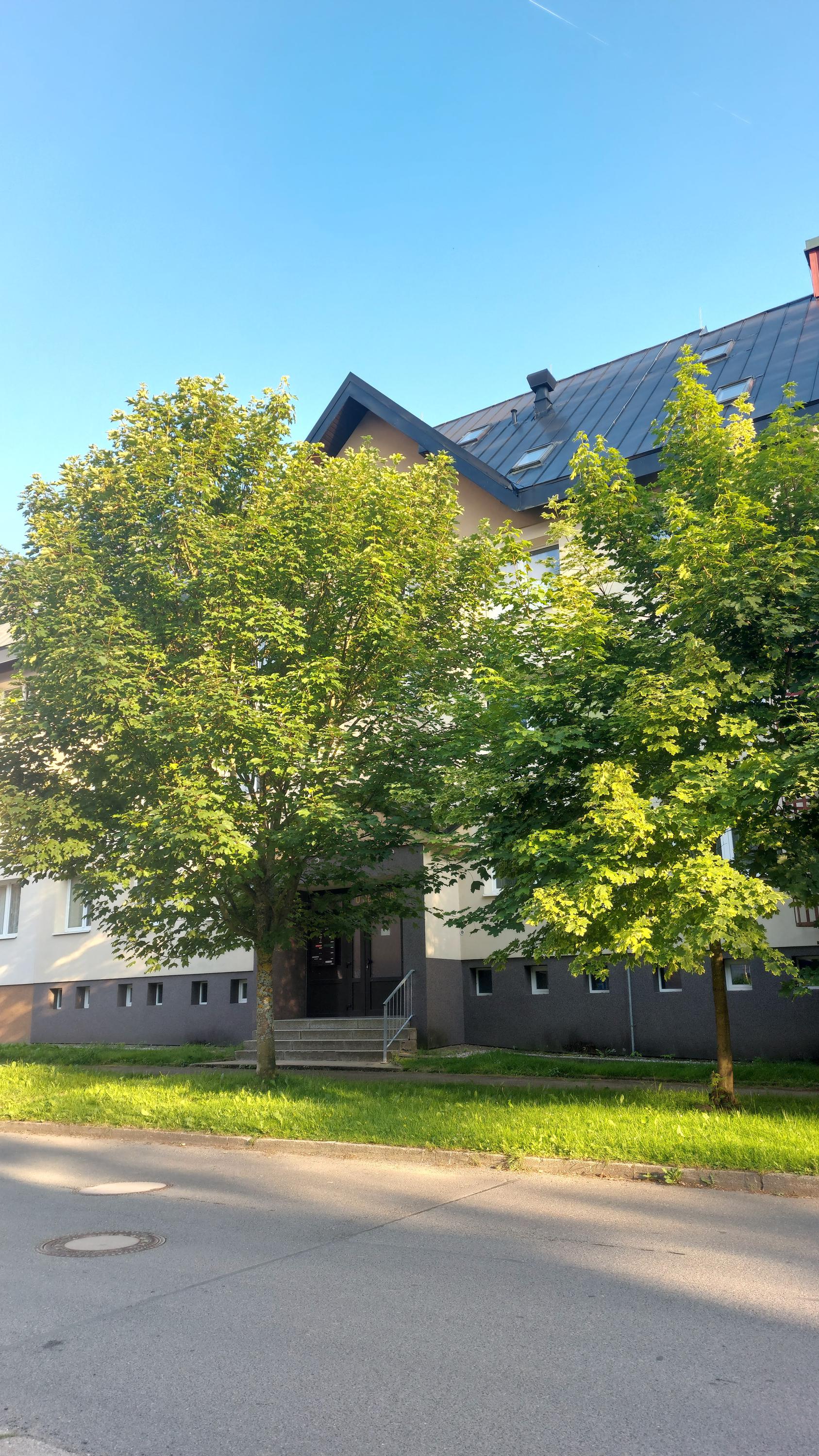 Apartmán REZE Šumava foto 2