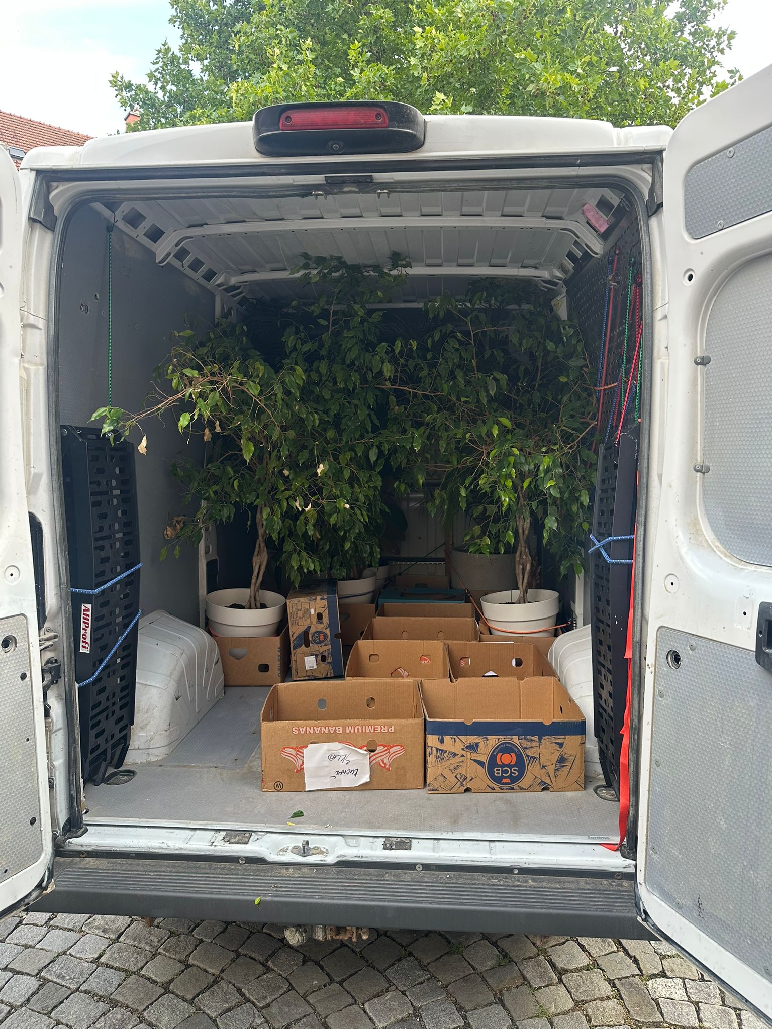 Autodoprava Jan Čáp foto 2