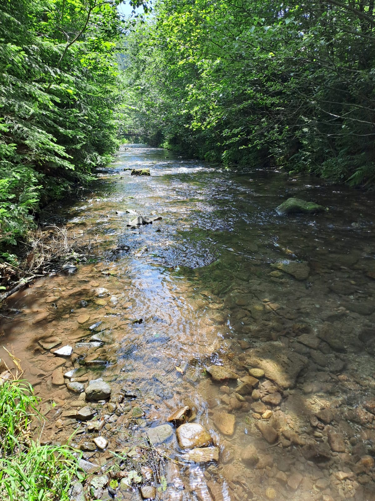 Bezkempu u chajdy pod Radhoštěm foto 4
