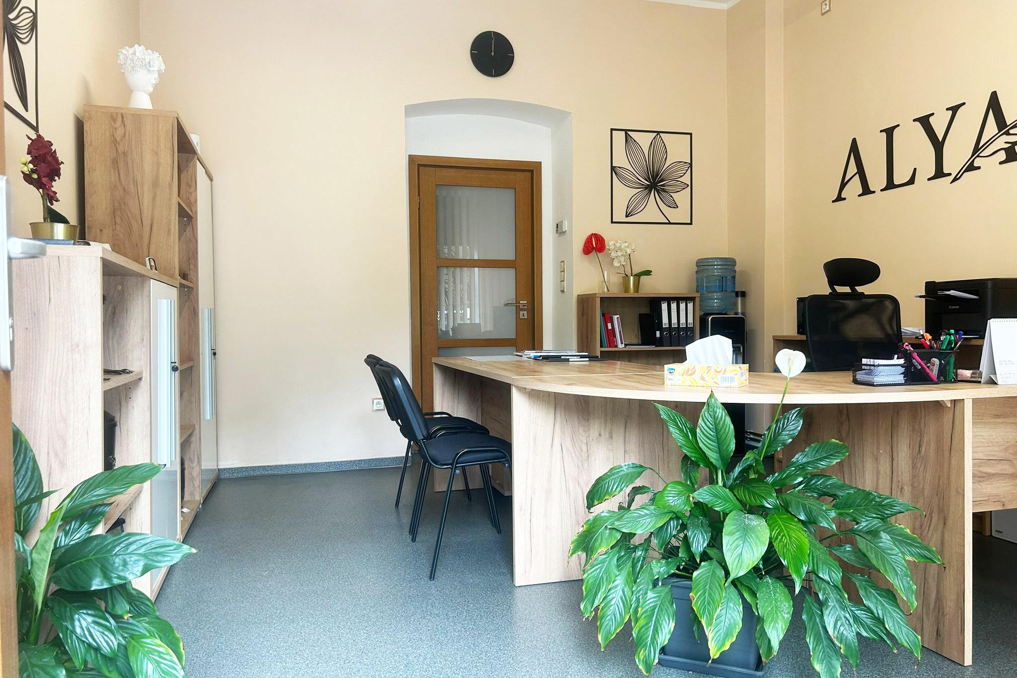 Pohřební služba Alya