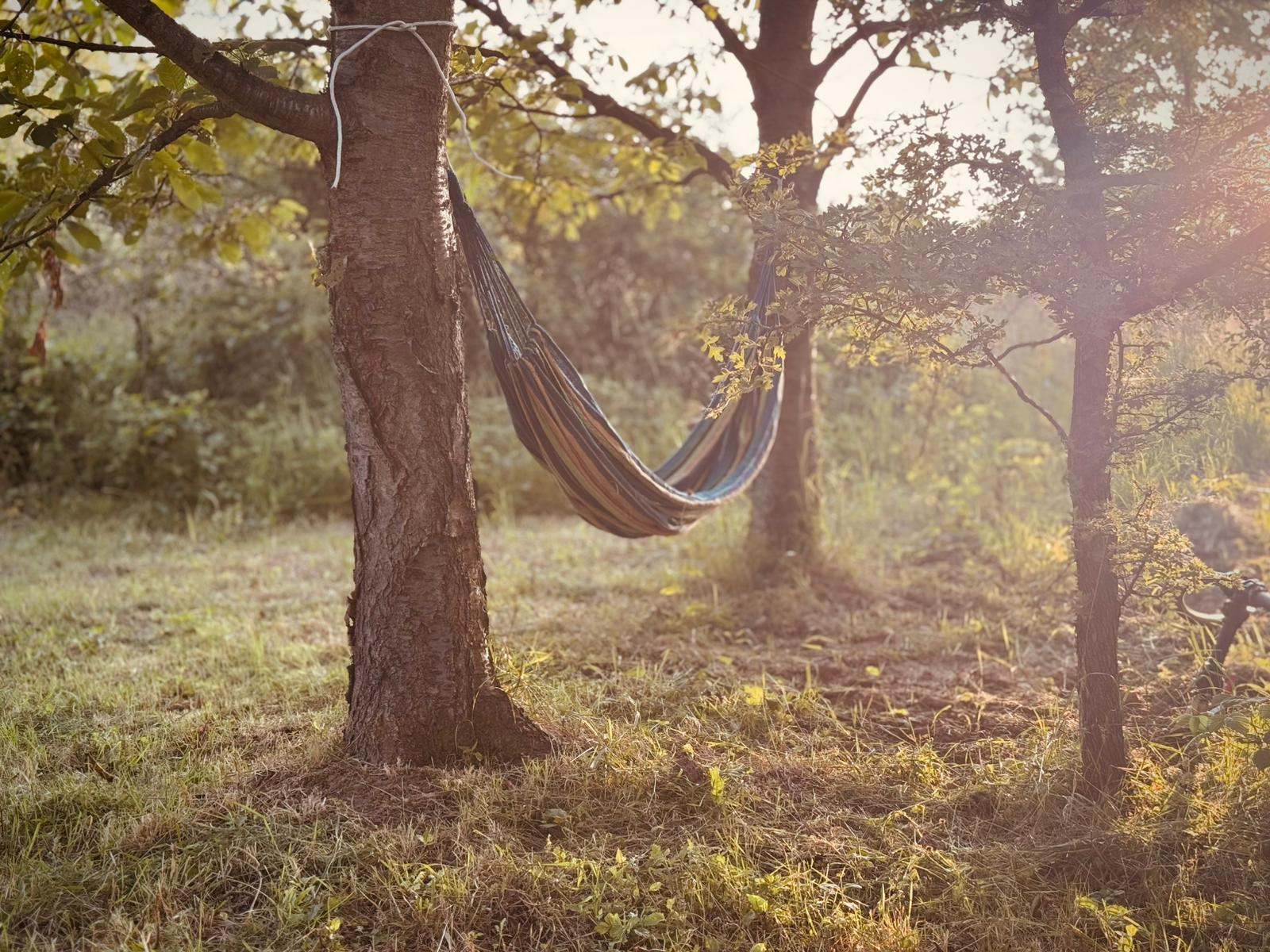 Maringotka Višňovka foto 4