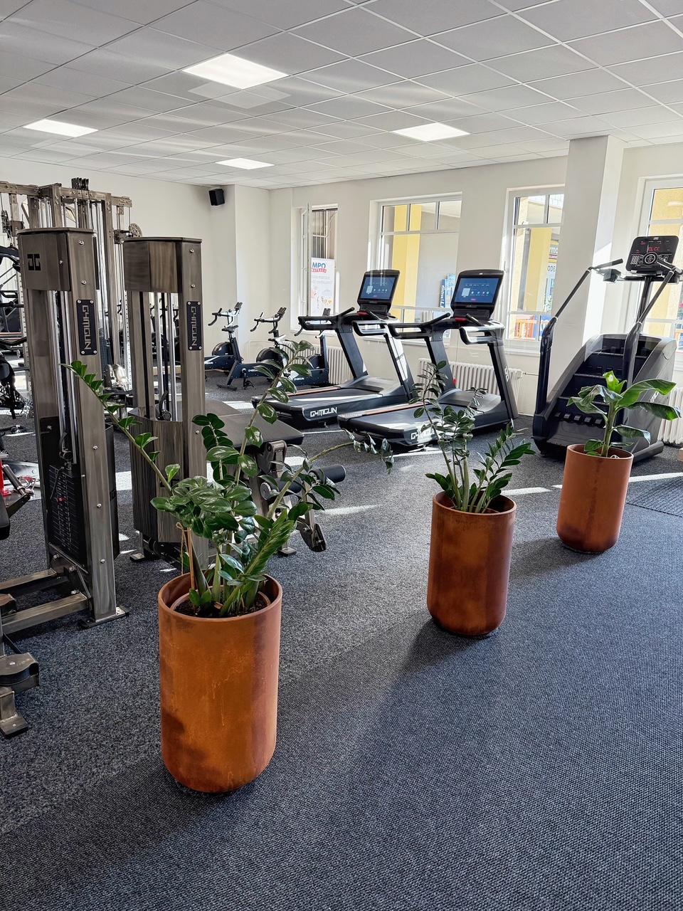 Steel gym foto 4