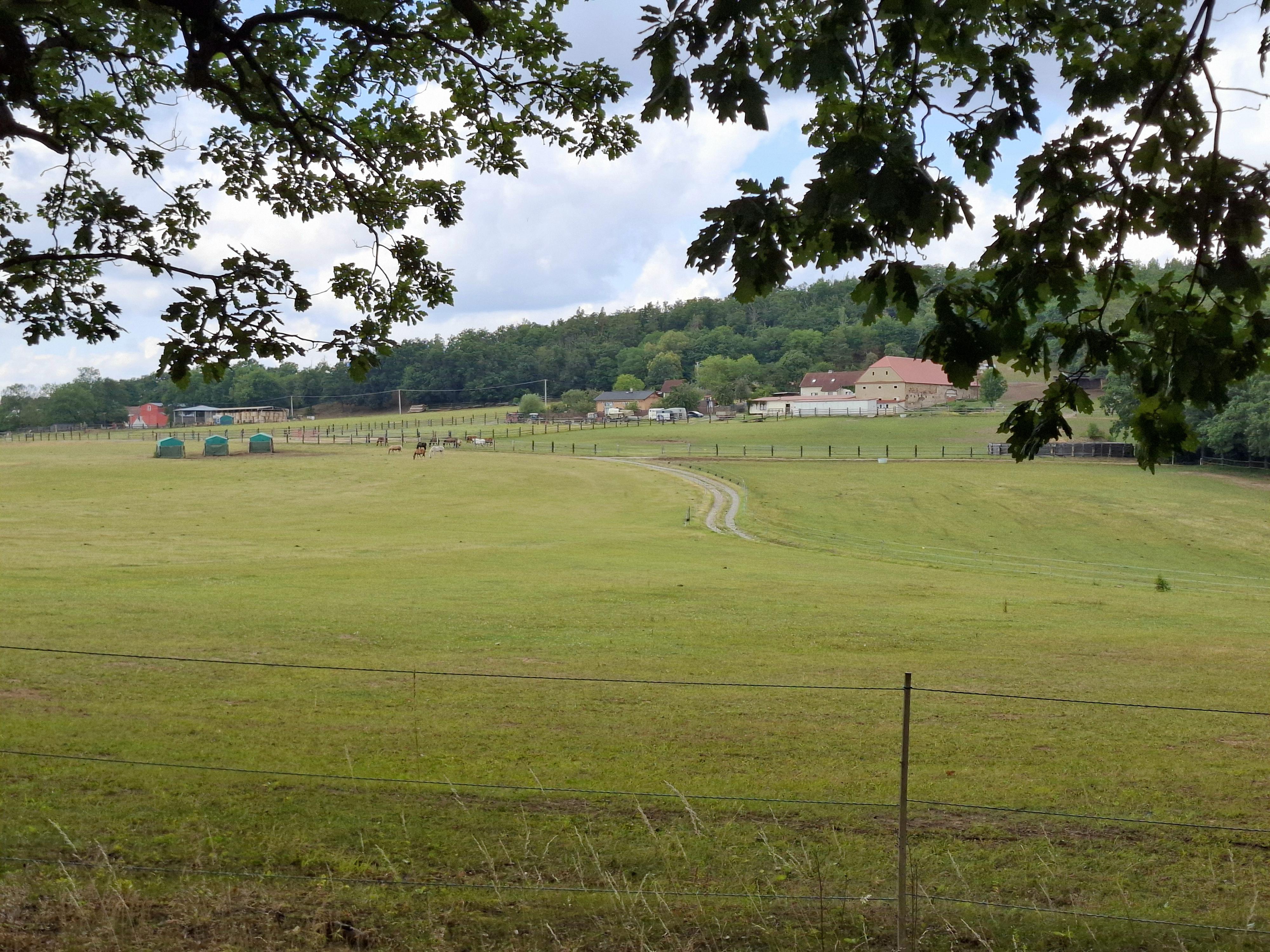 Stáj Nebuz foto 6