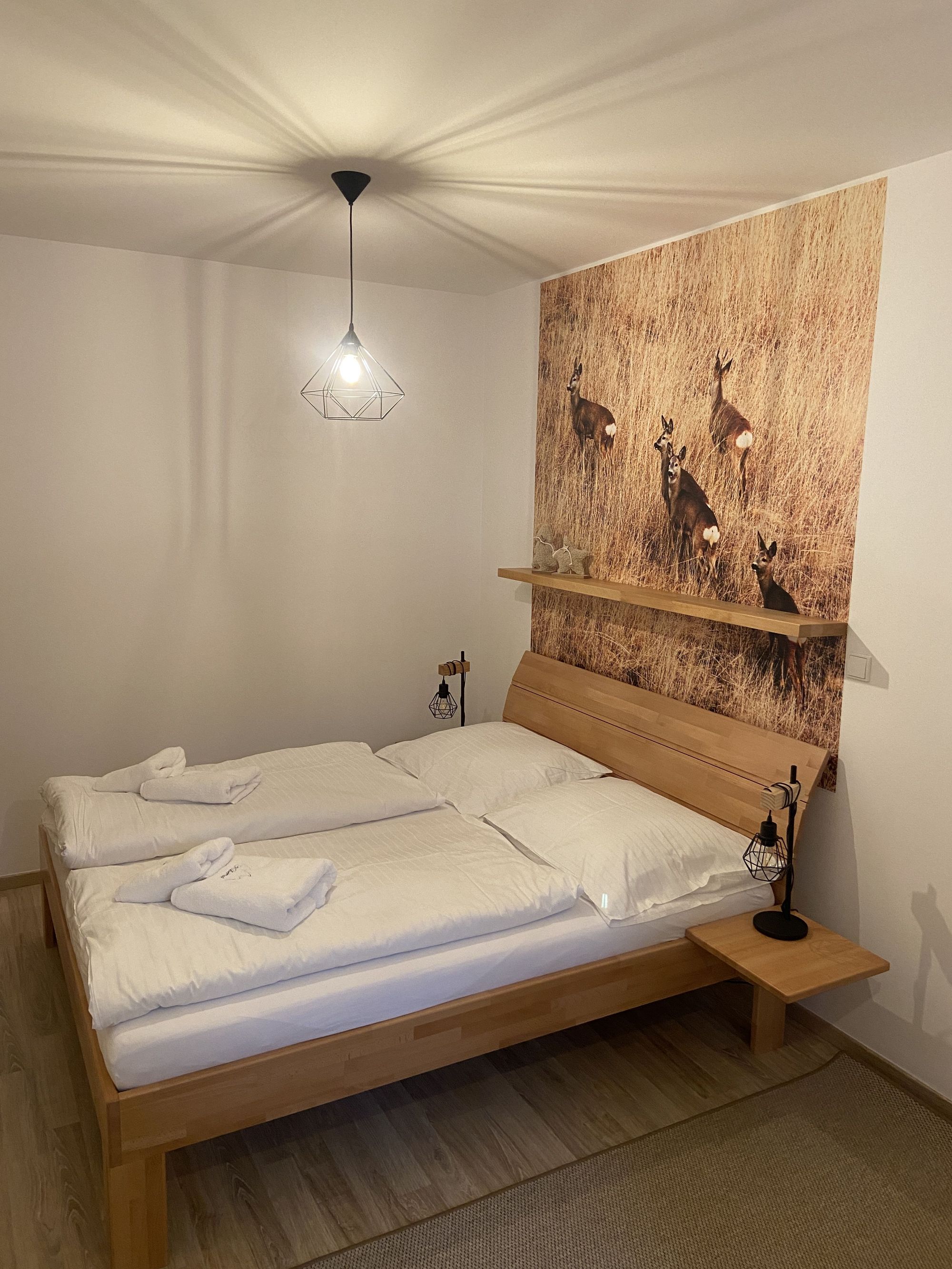 Apartmán Hubertus No 2 foto 3