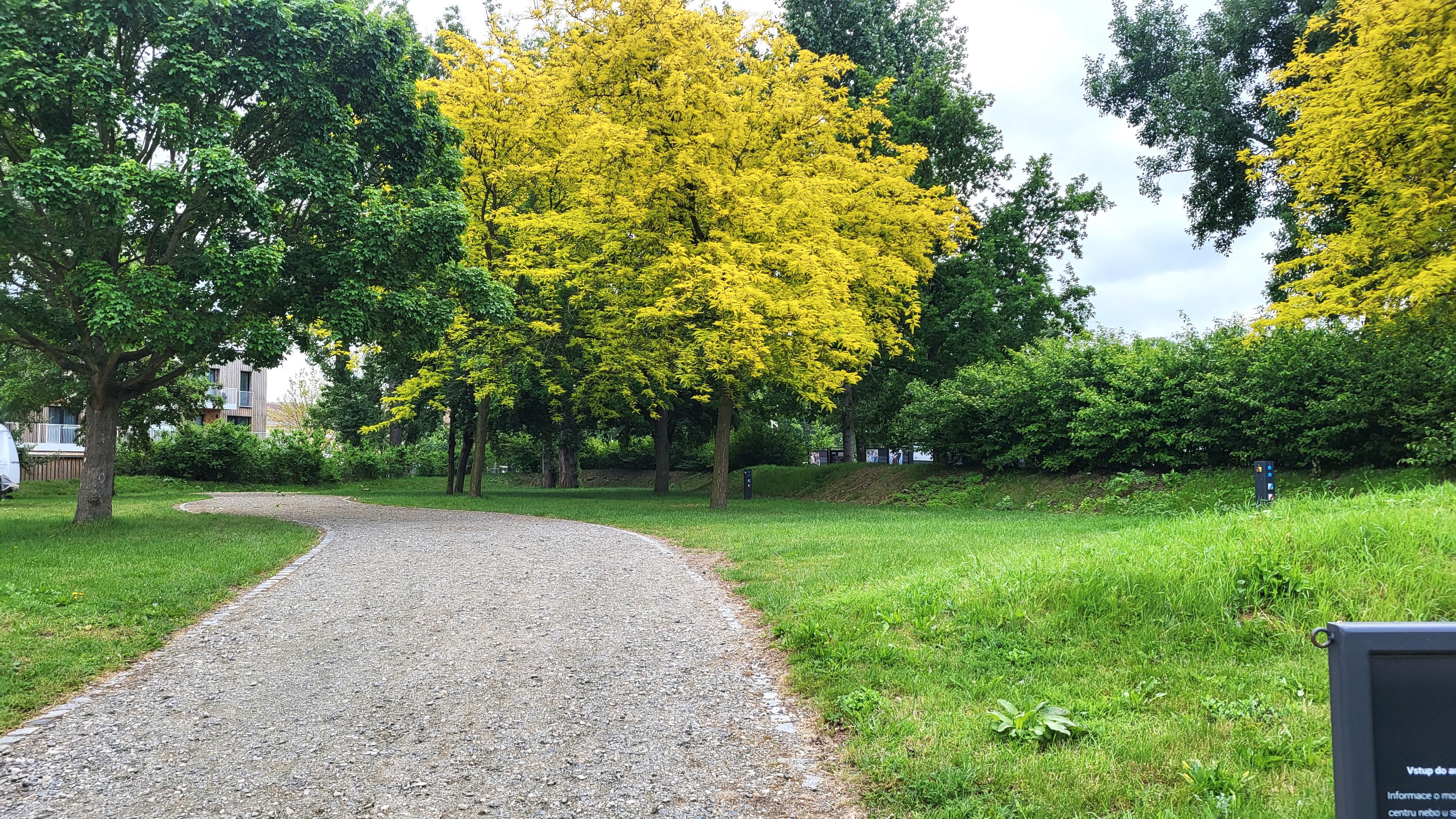 Kemp Přístav Veselí nad Moravou foto 1