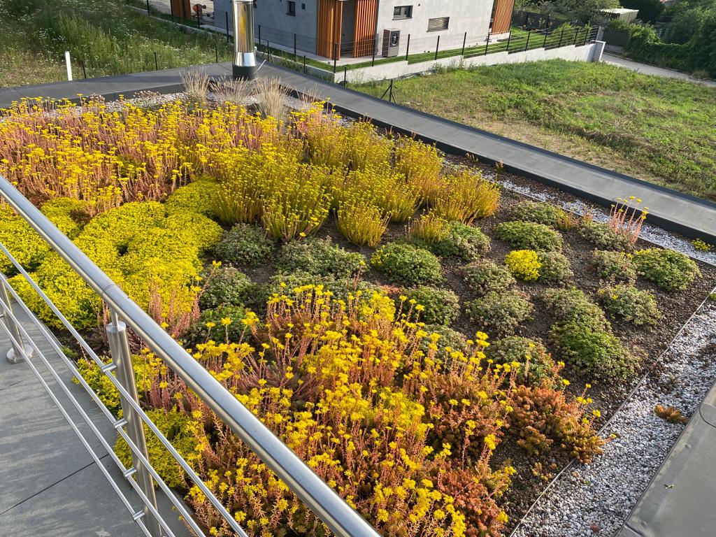 Kohoutek - zahradnické služby foto 2