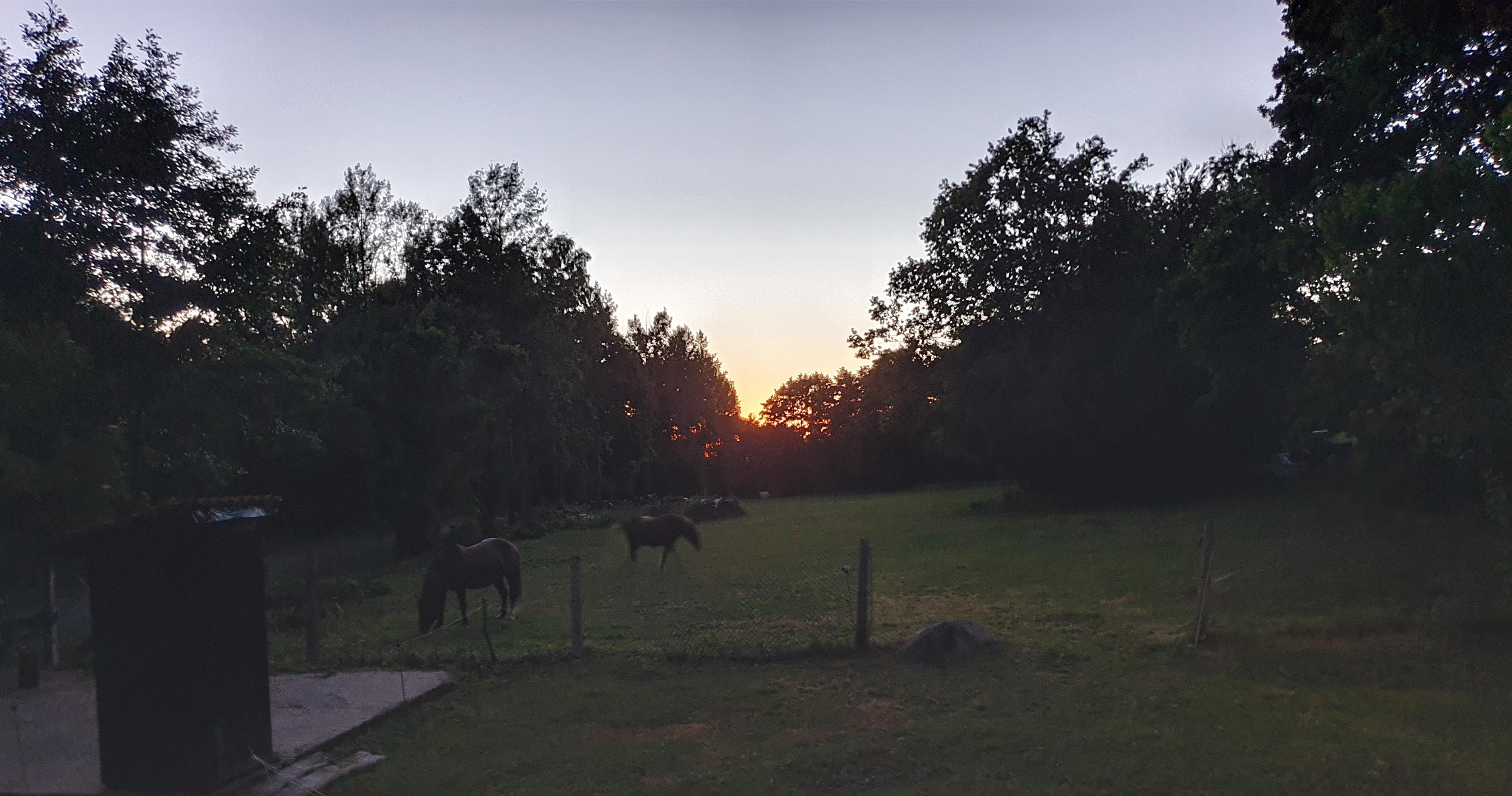 Myslivna Veletín - Drábův dvůr foto 4