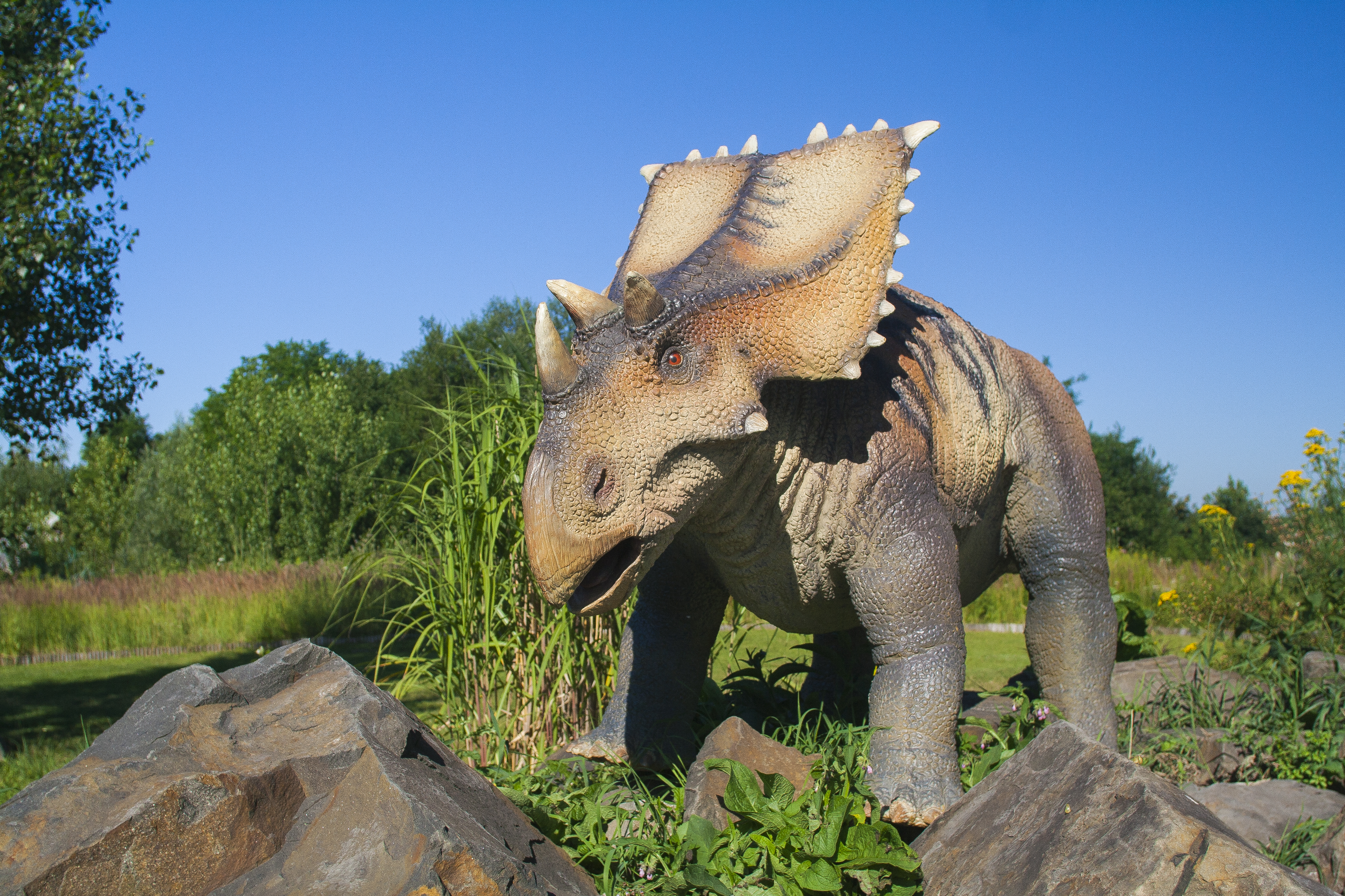 DinoPark Ostrava foto 5