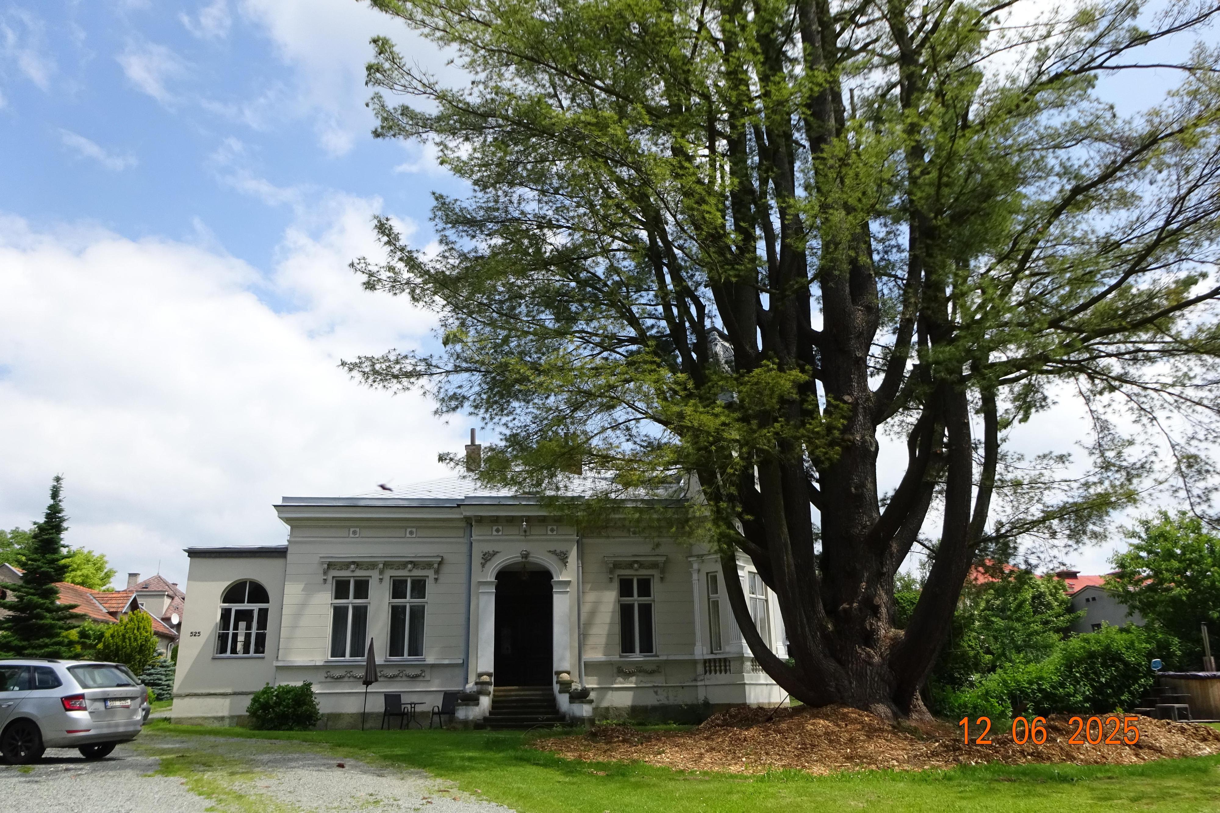 Apartmán U Borovice