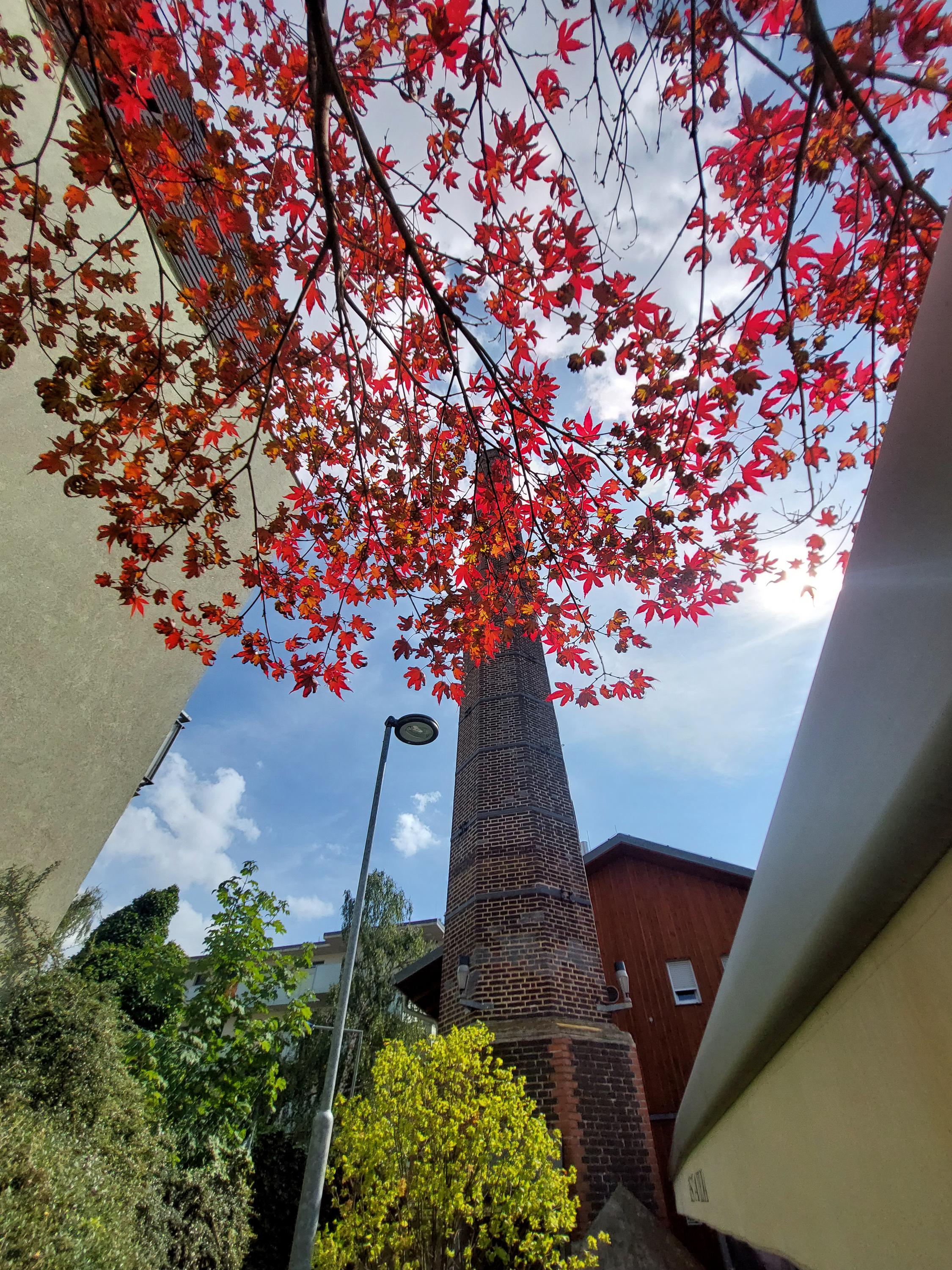 Battistova cihelna foto 4