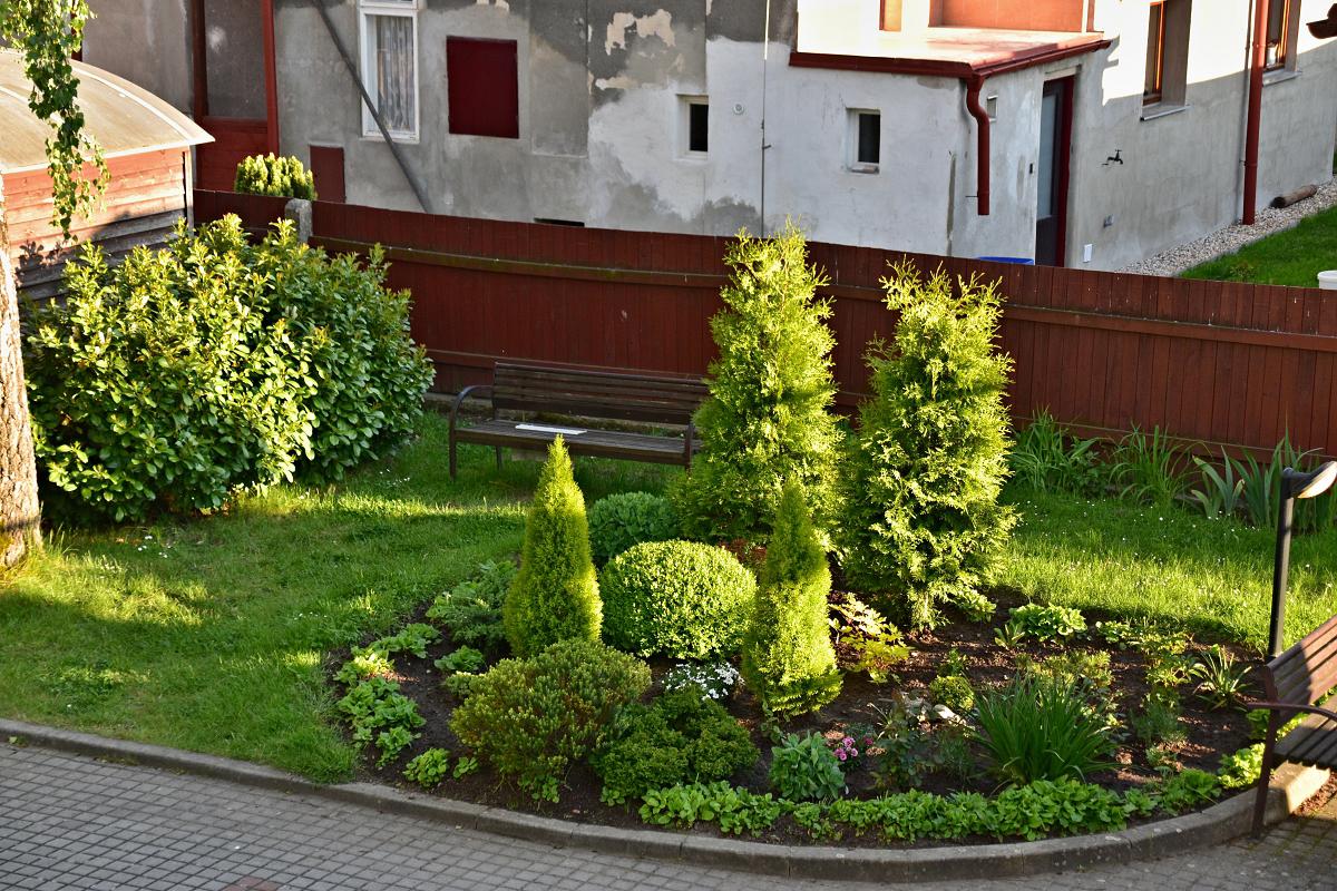 Pečovatelská služba města Mladá Boleslav foto 5