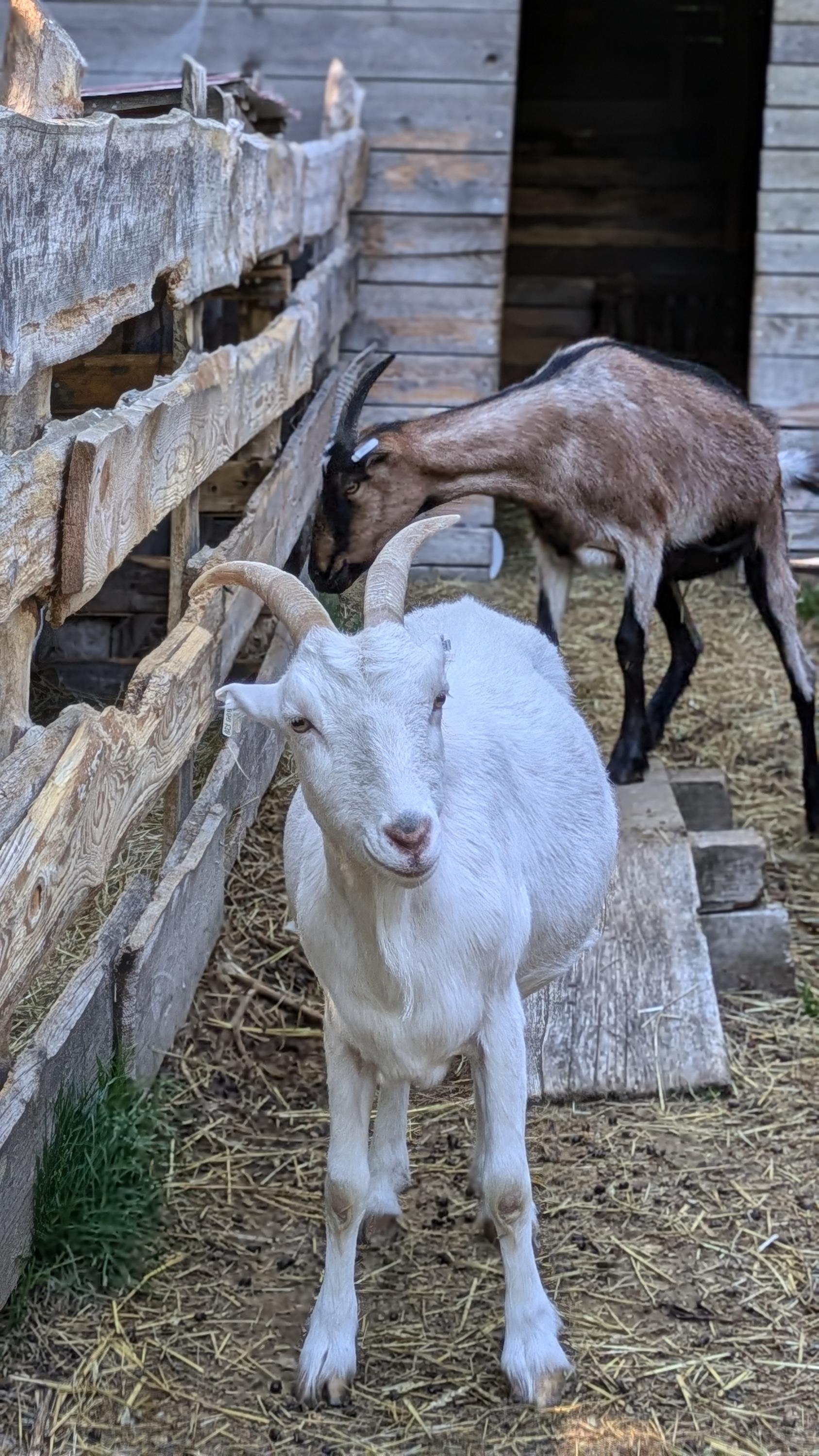 Ovčí terasy foto 3