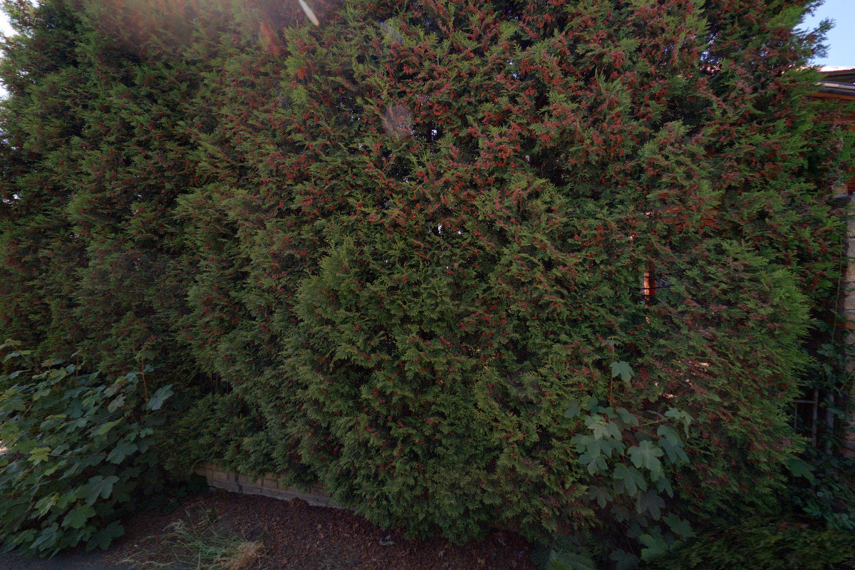 Nabíjecí stanice pro elektromobily (AC)