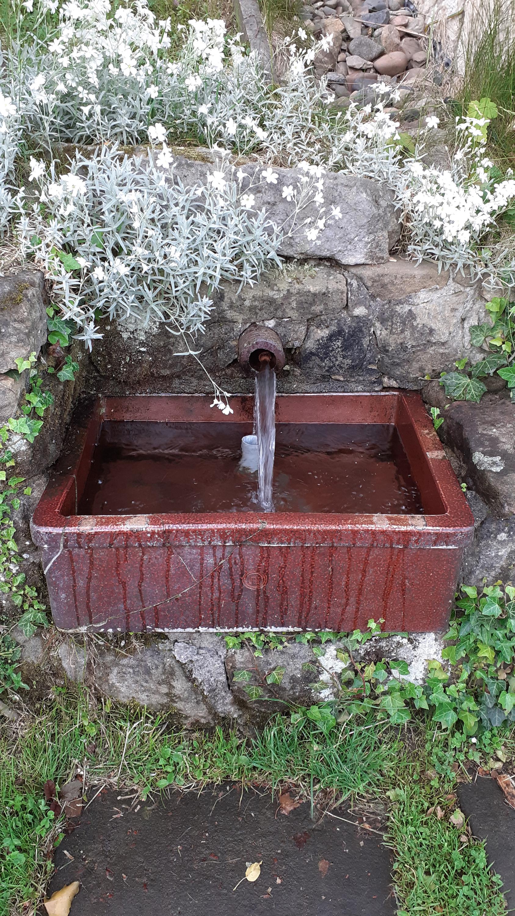 Samoobslužný bar Dolní Žleb foto 3