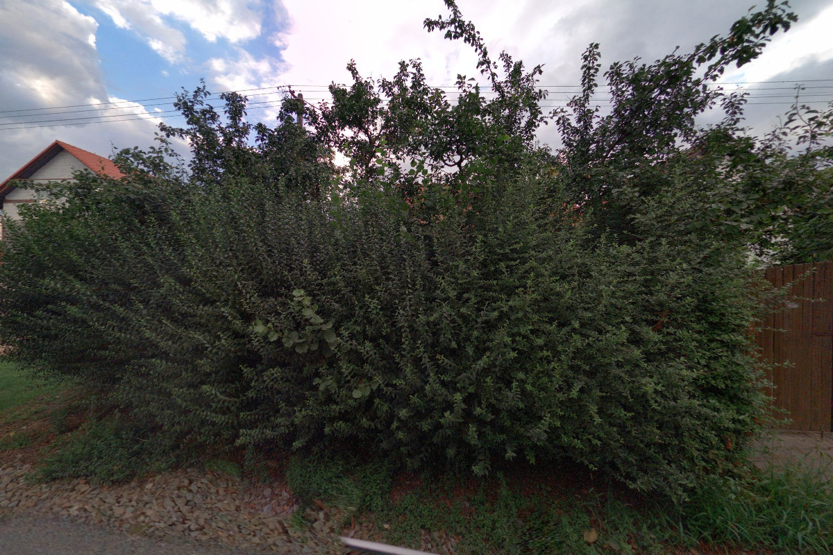 Vinarstvipodkopcem.cz foto 2