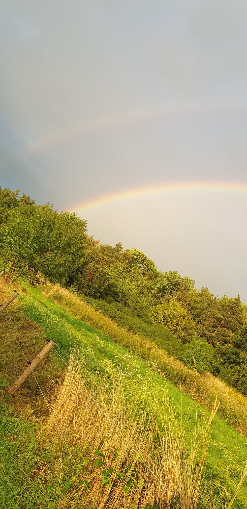 Lesní ateliér - komunitní zahrada foto 2