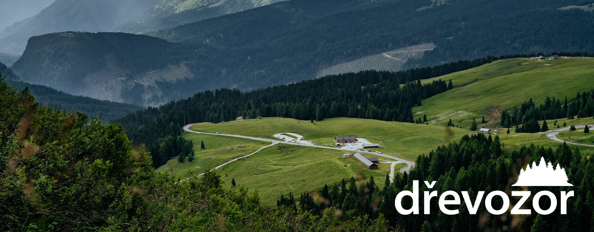 Drevozor.cz foto 2