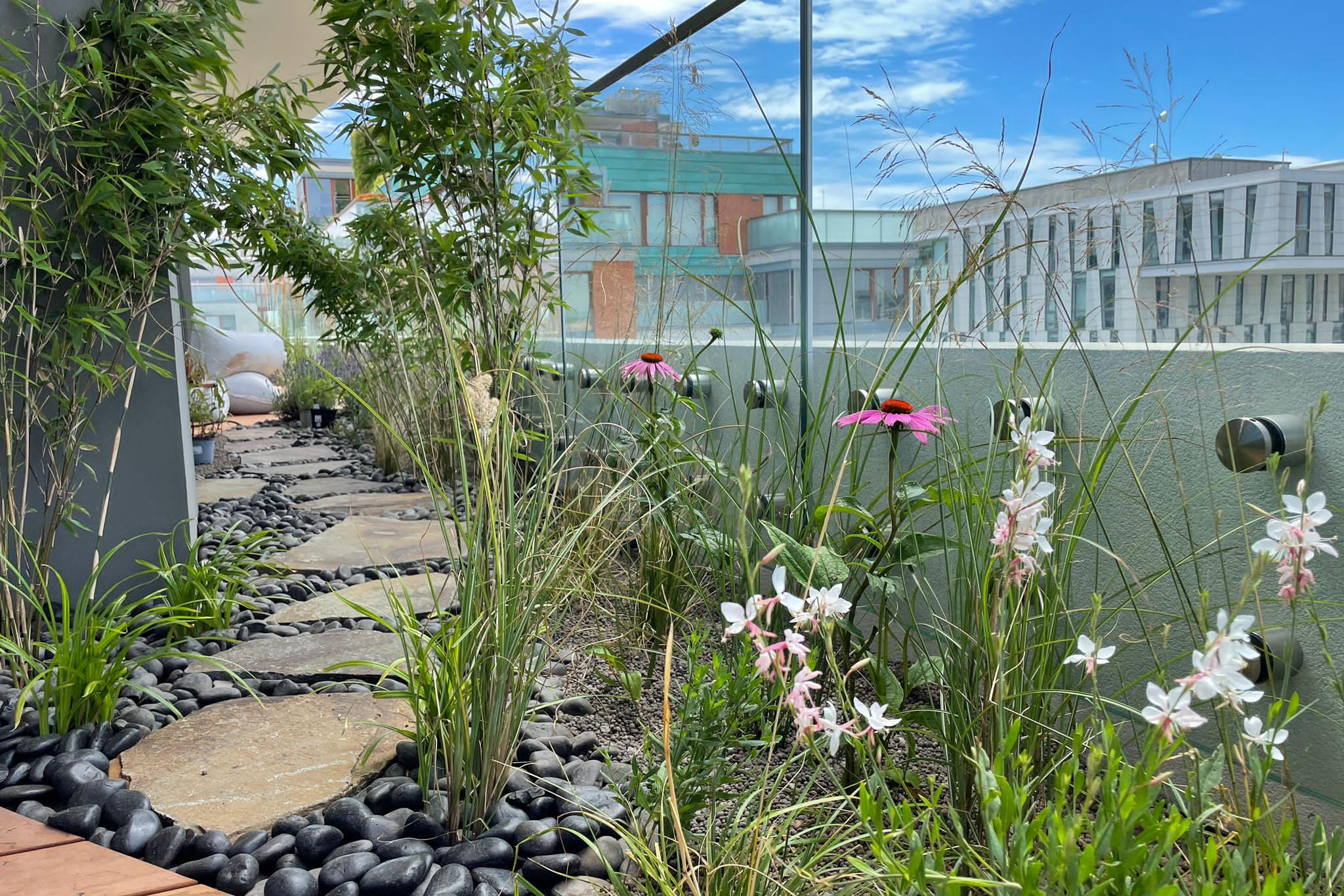 Kohoutek - zahradnické služby foto 1