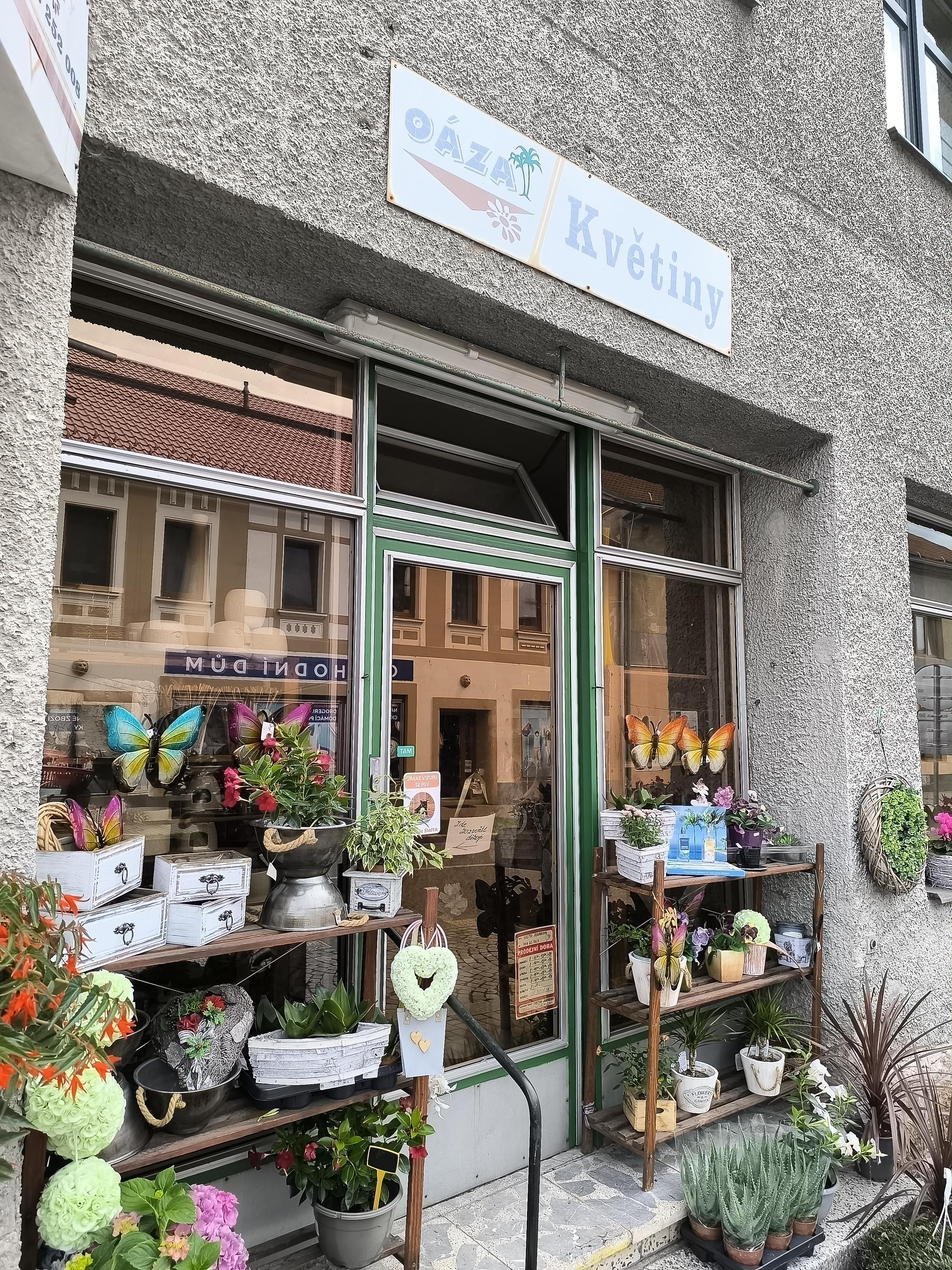 Květiny OÁZA foto 2