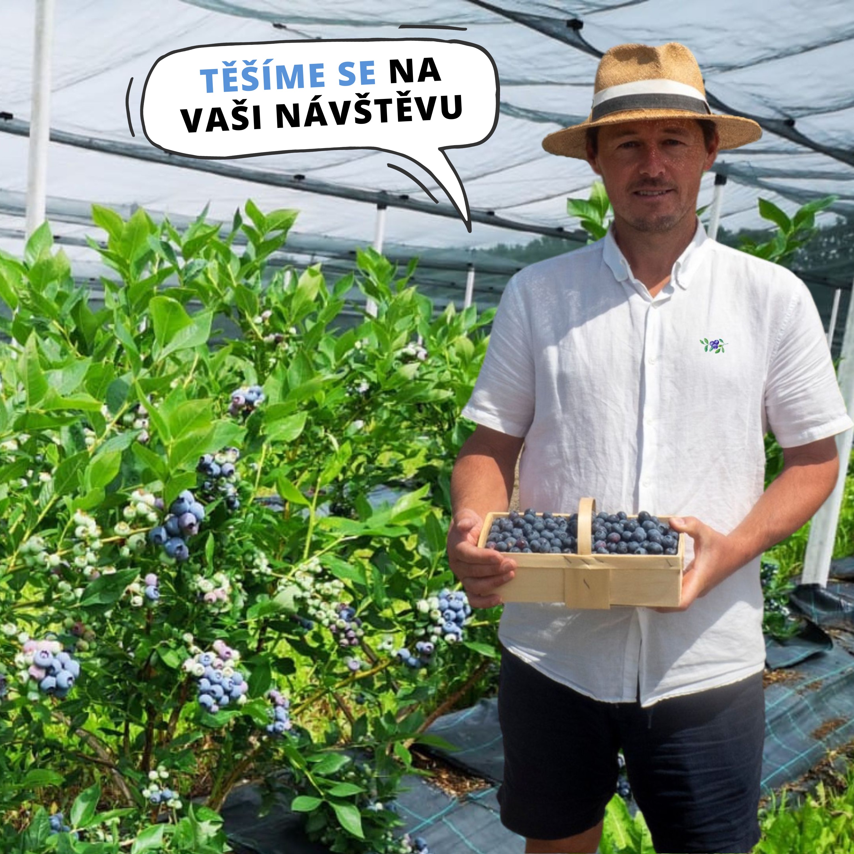 Borůvková farma Čejkovice foto 2