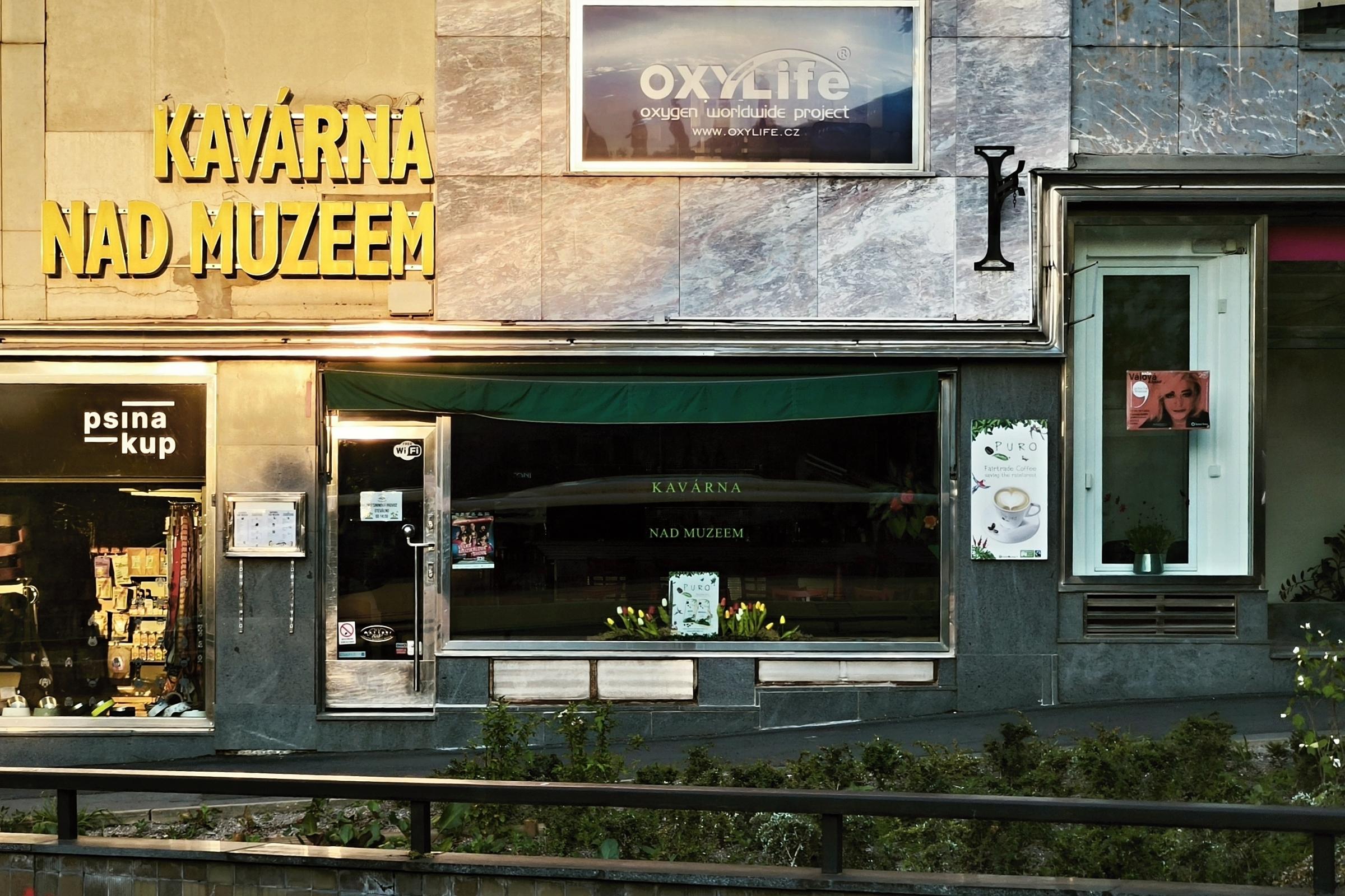 Kavárna nad muzeem foto 1