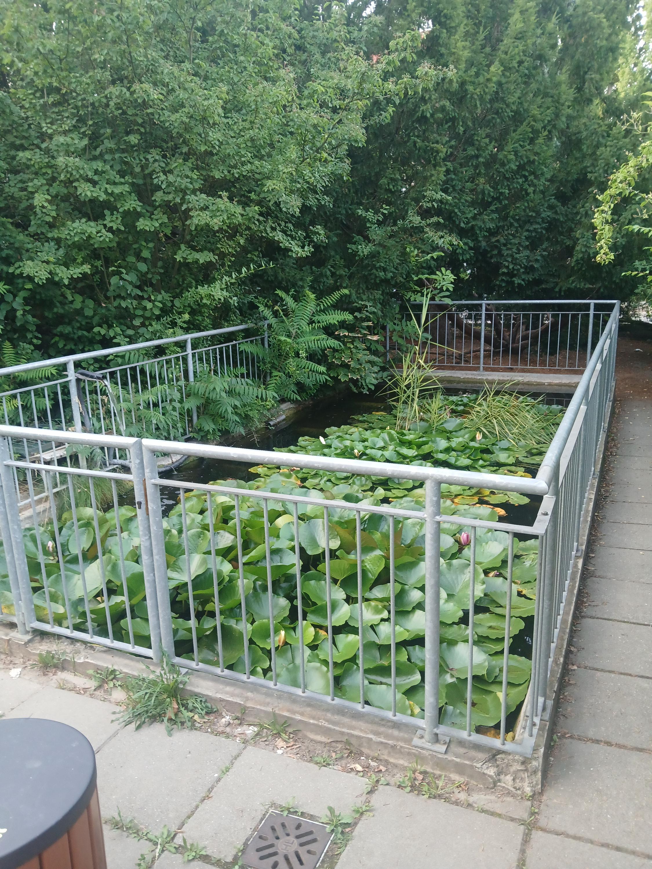 ZŠ a MŠ Praha 6, Bílá foto 5