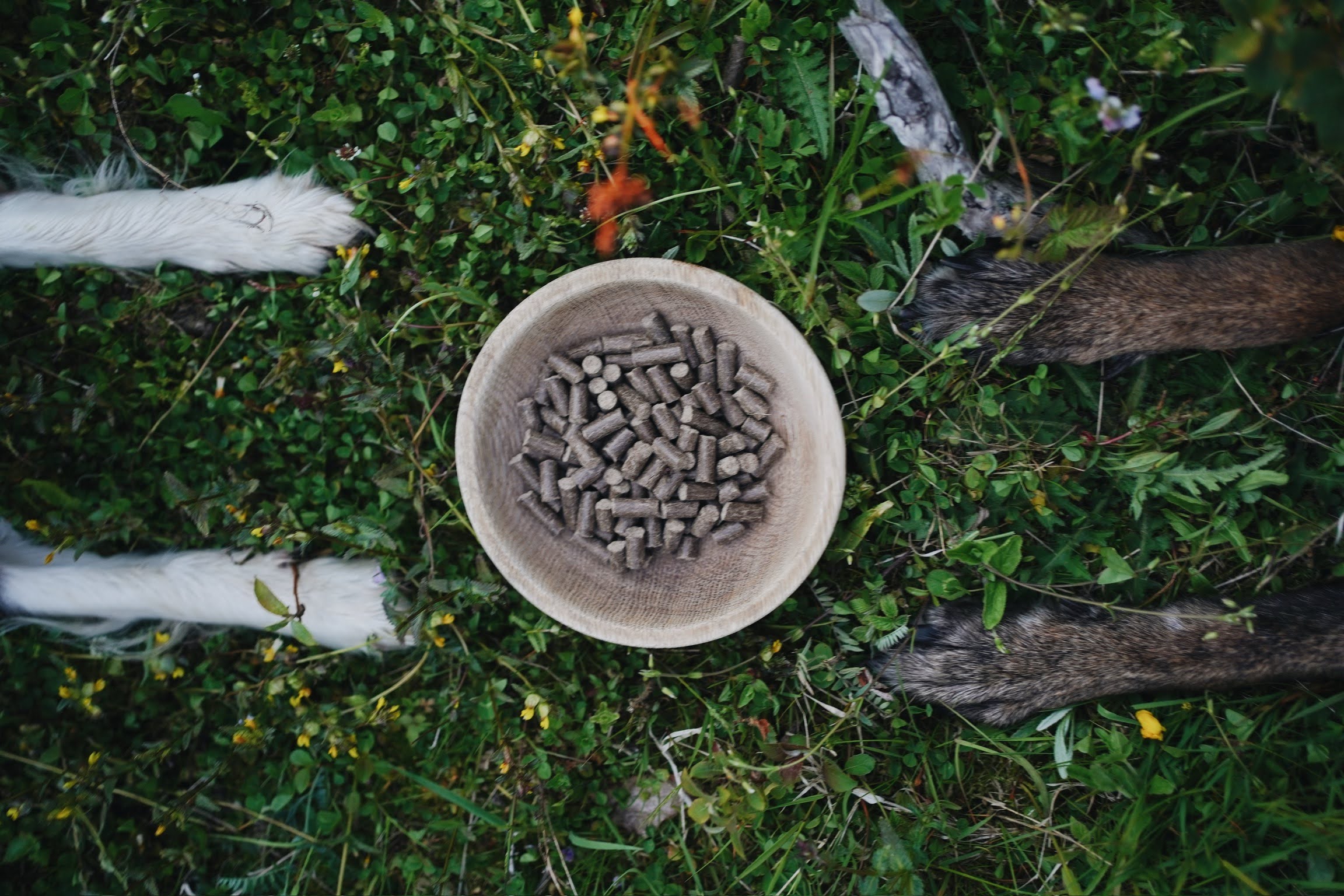 TOP Granule pro psy - maximum masa fér cena