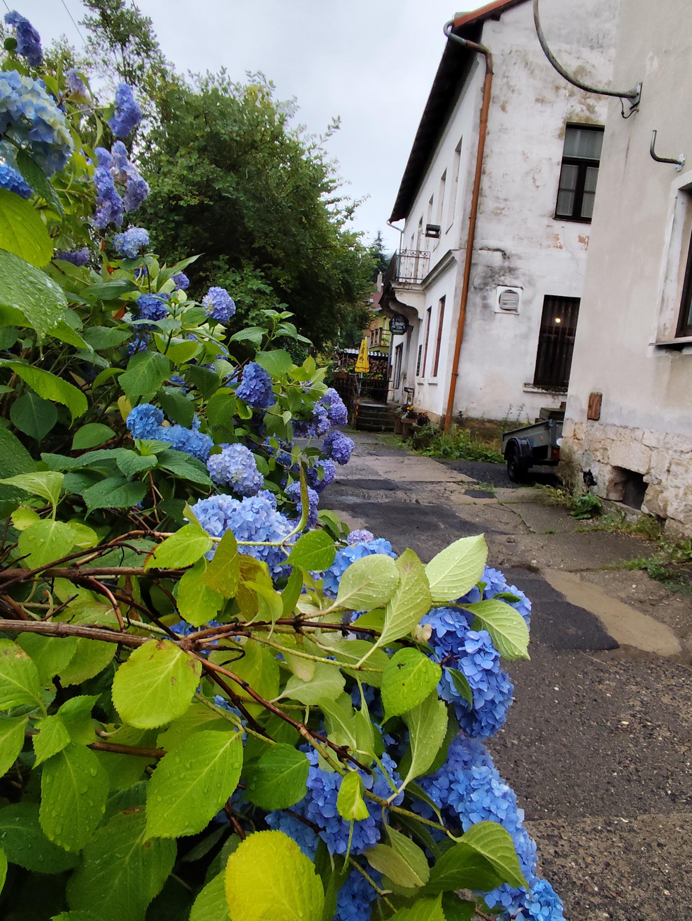 Hospoda U Synka foto 6