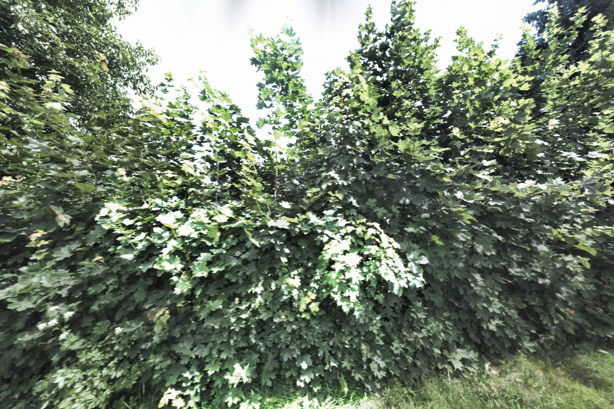 American diner u Gargamela